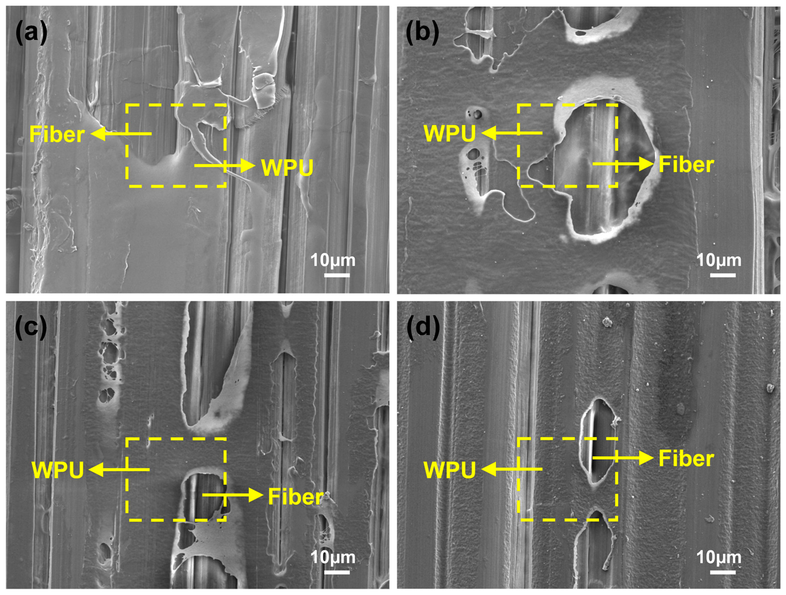 Polymers 17 00837 g008
