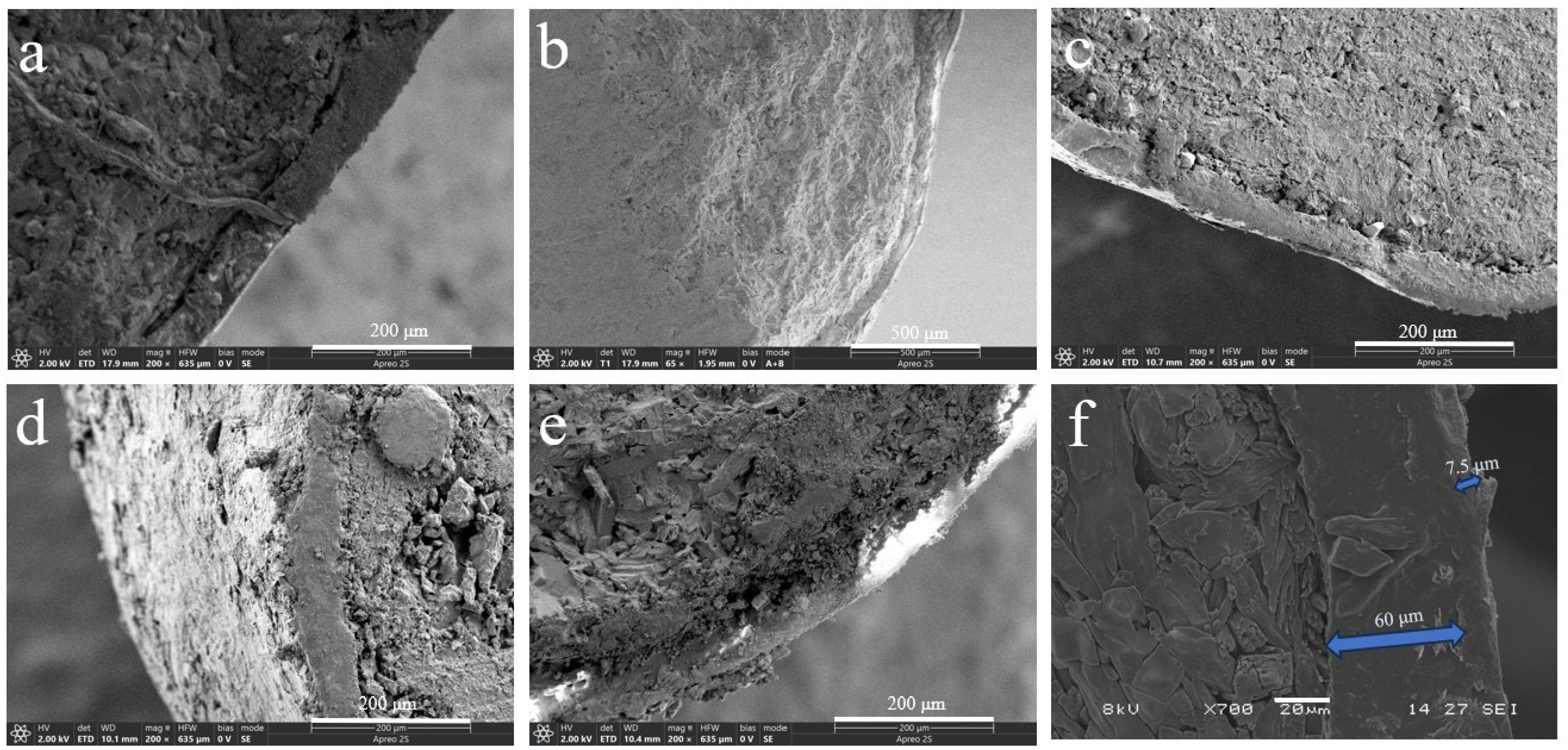 Polymers 17 00838 g001