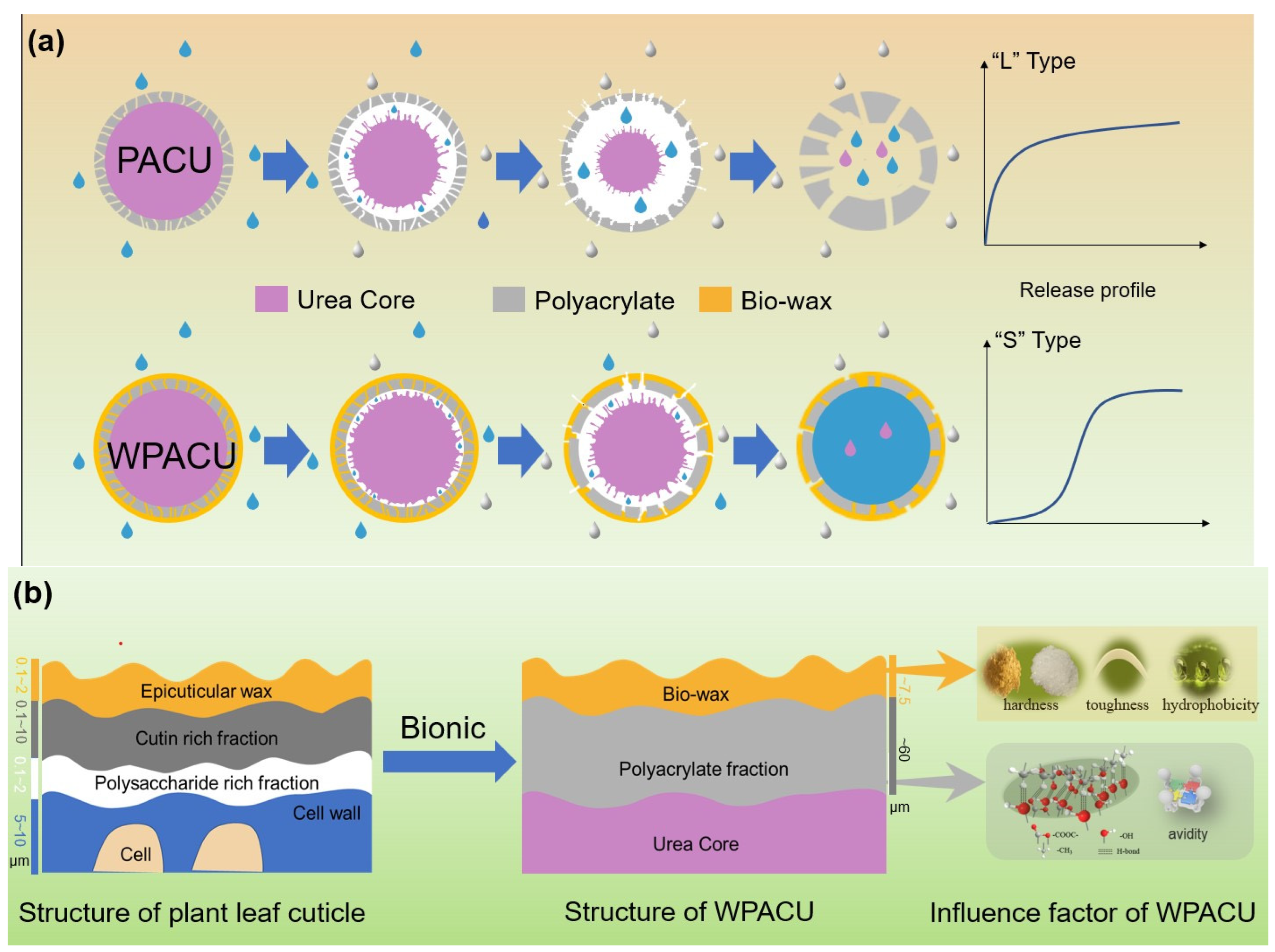 Polymers 17 00838 g007