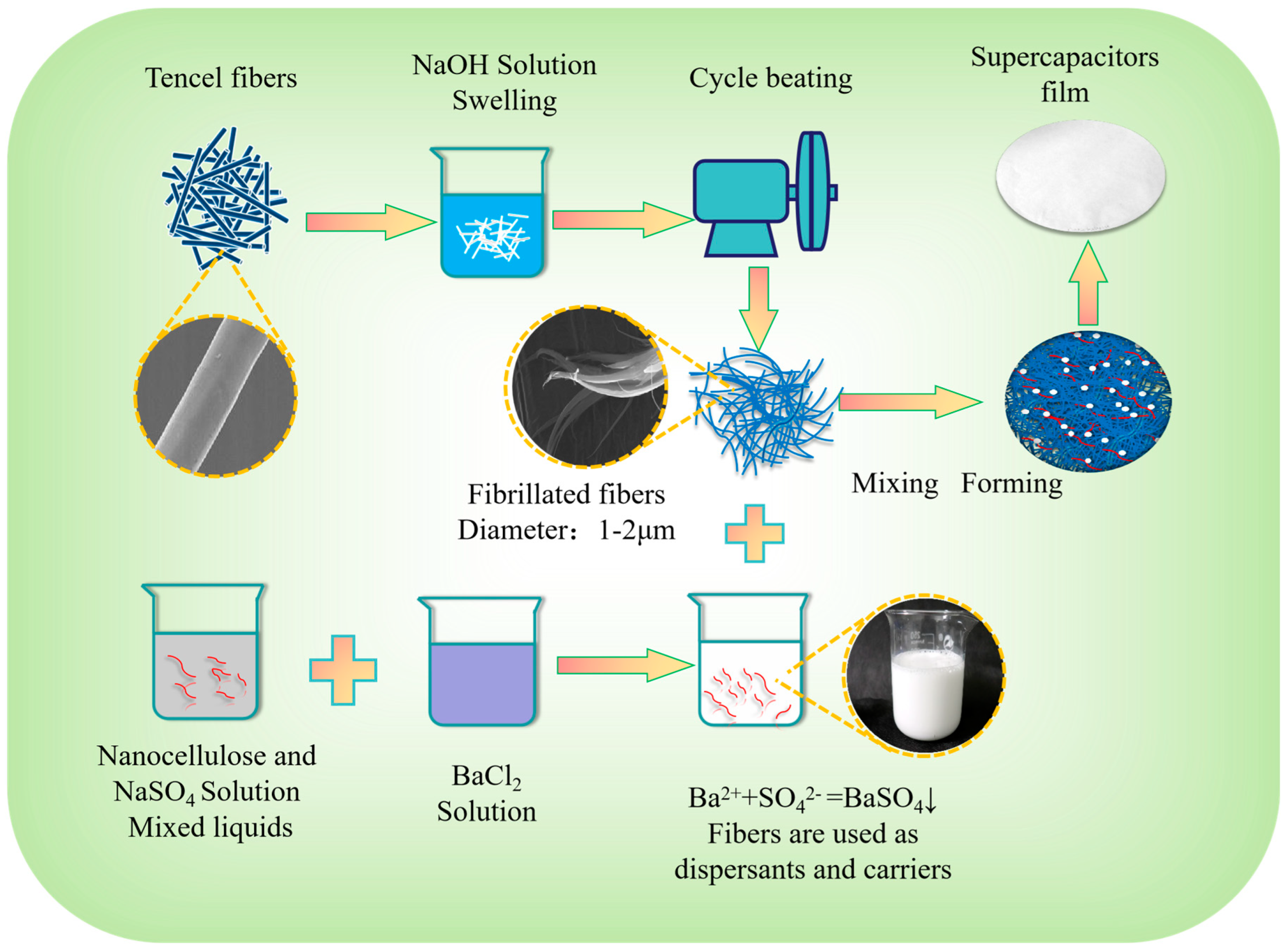 Polymers 17 00842 g001