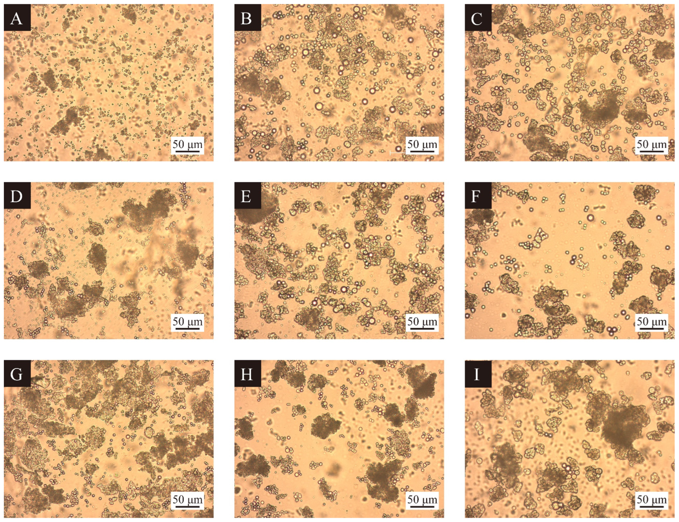 Polymers 17 00851 g001