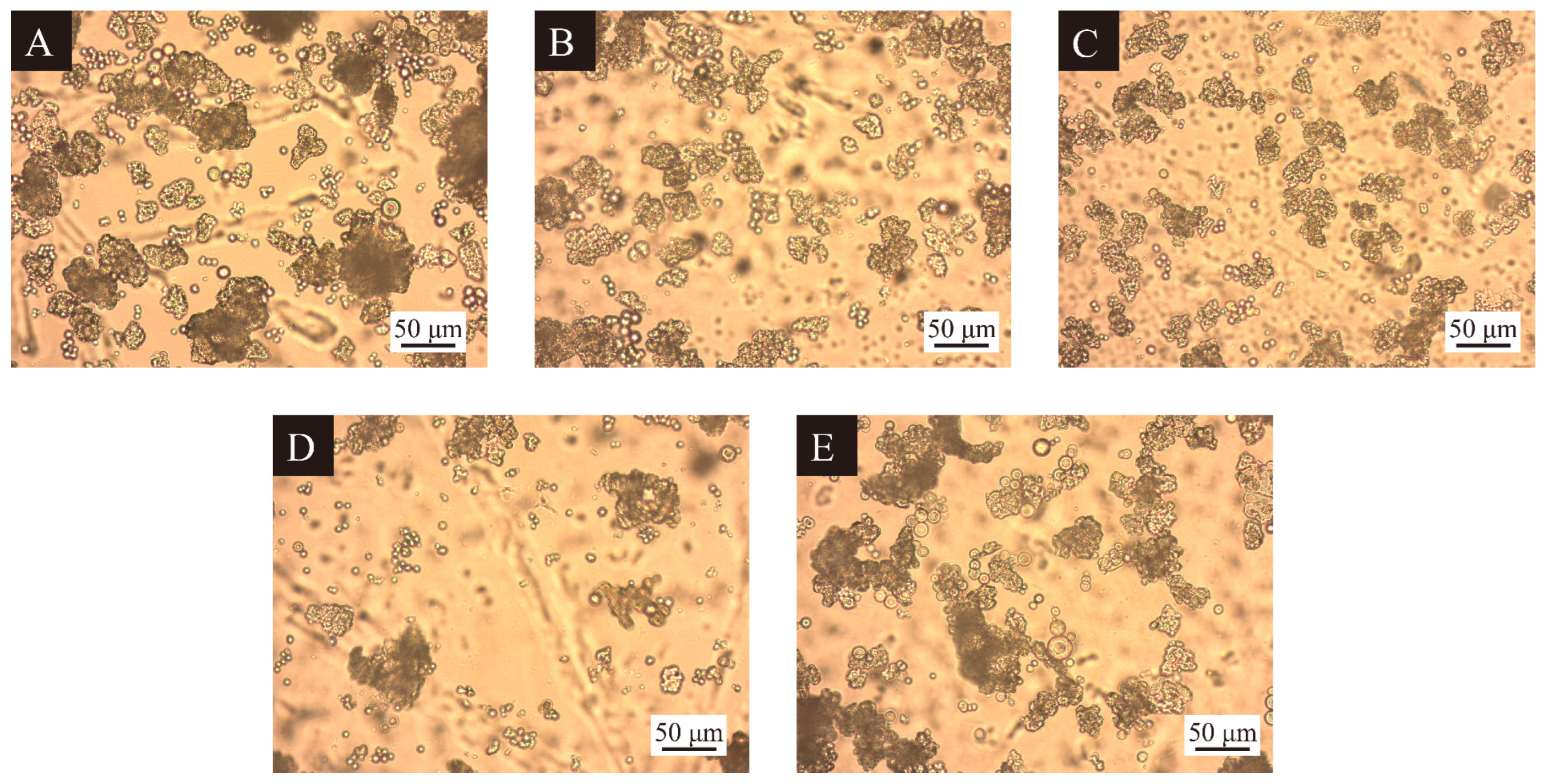 Polymers 17 00851 g002