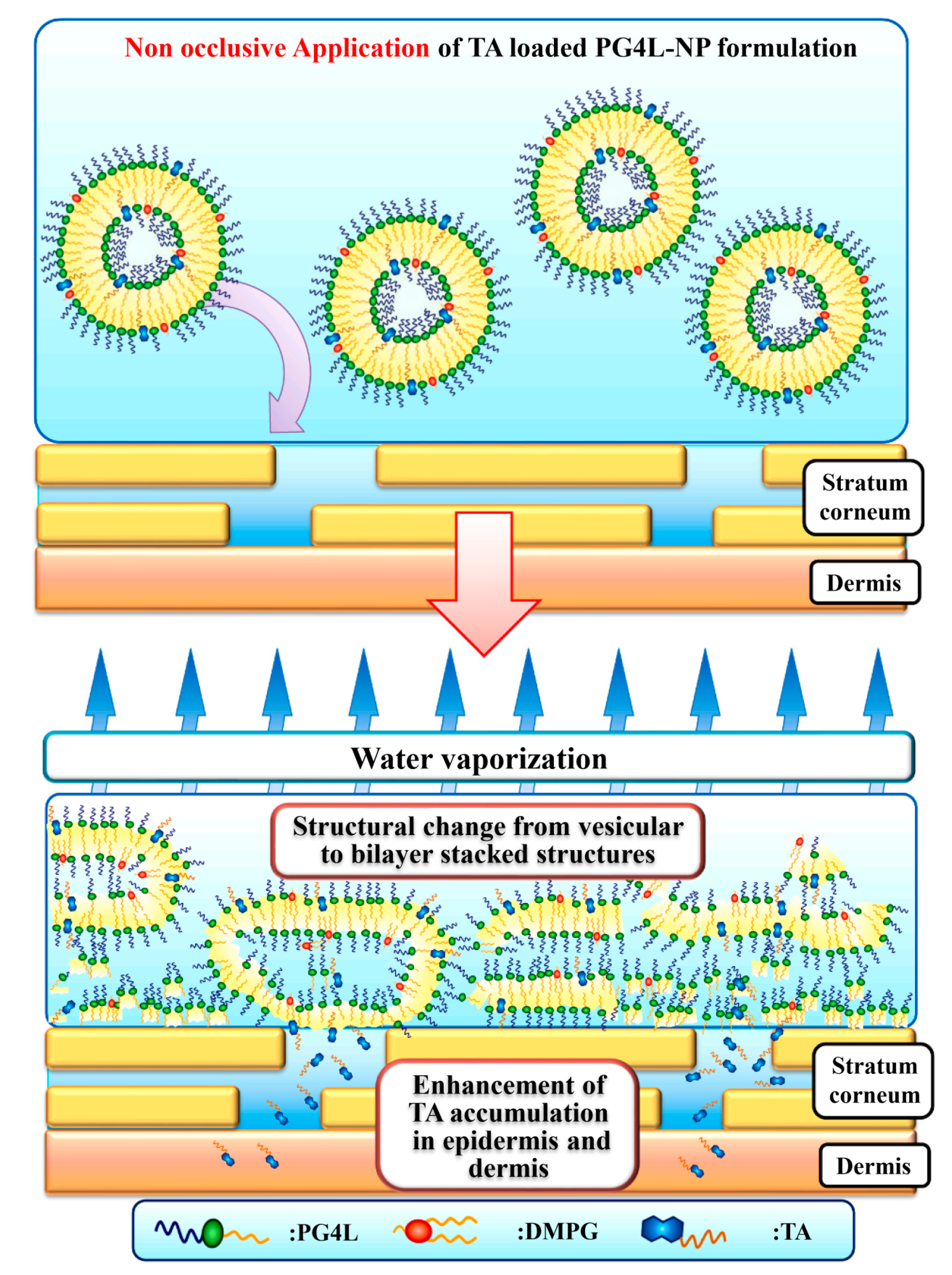 Polymers 17 00879 g004