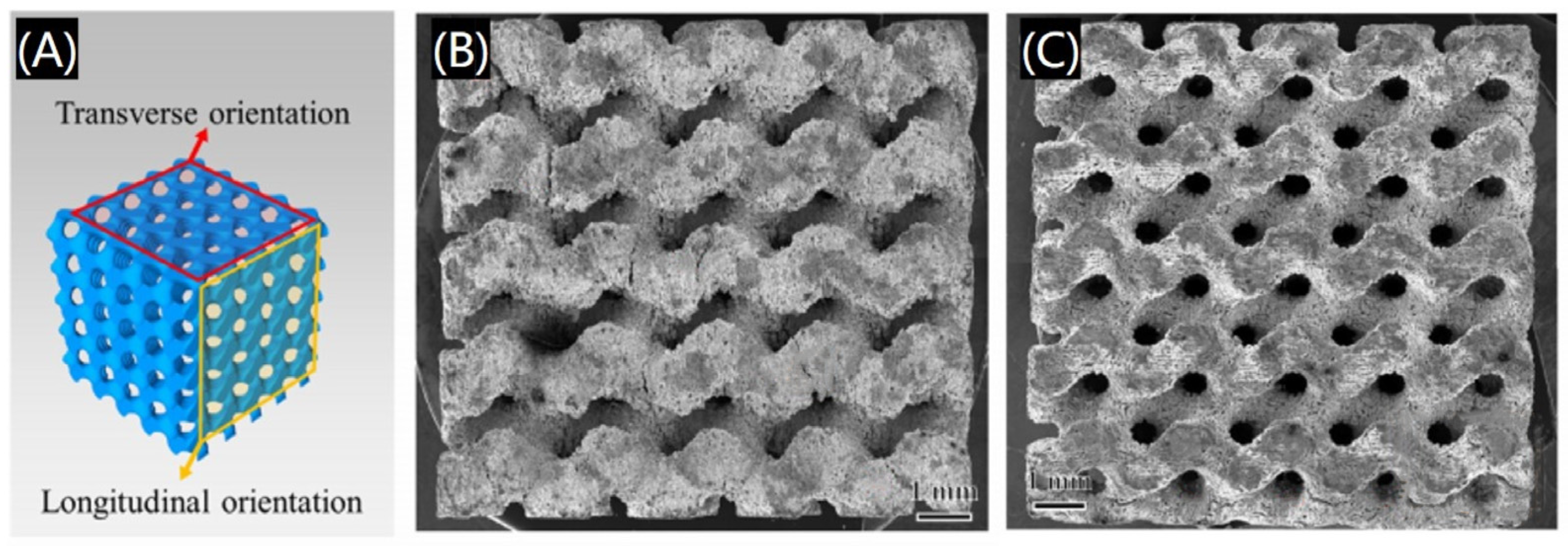 Polymers 17 00886 g010