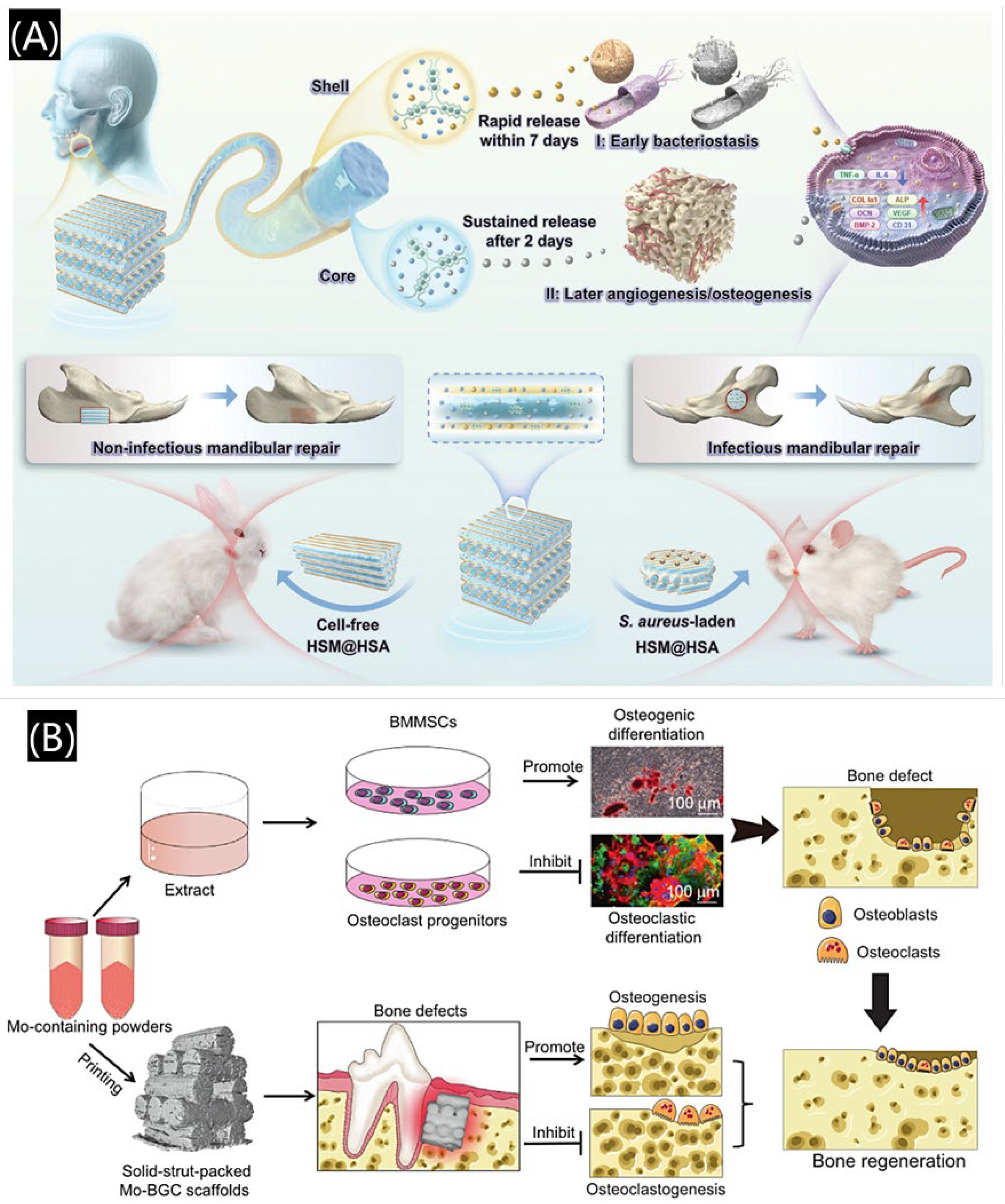 Polymers 17 00886 g014
