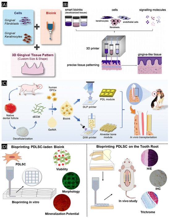 Polymers 17 00886 g015