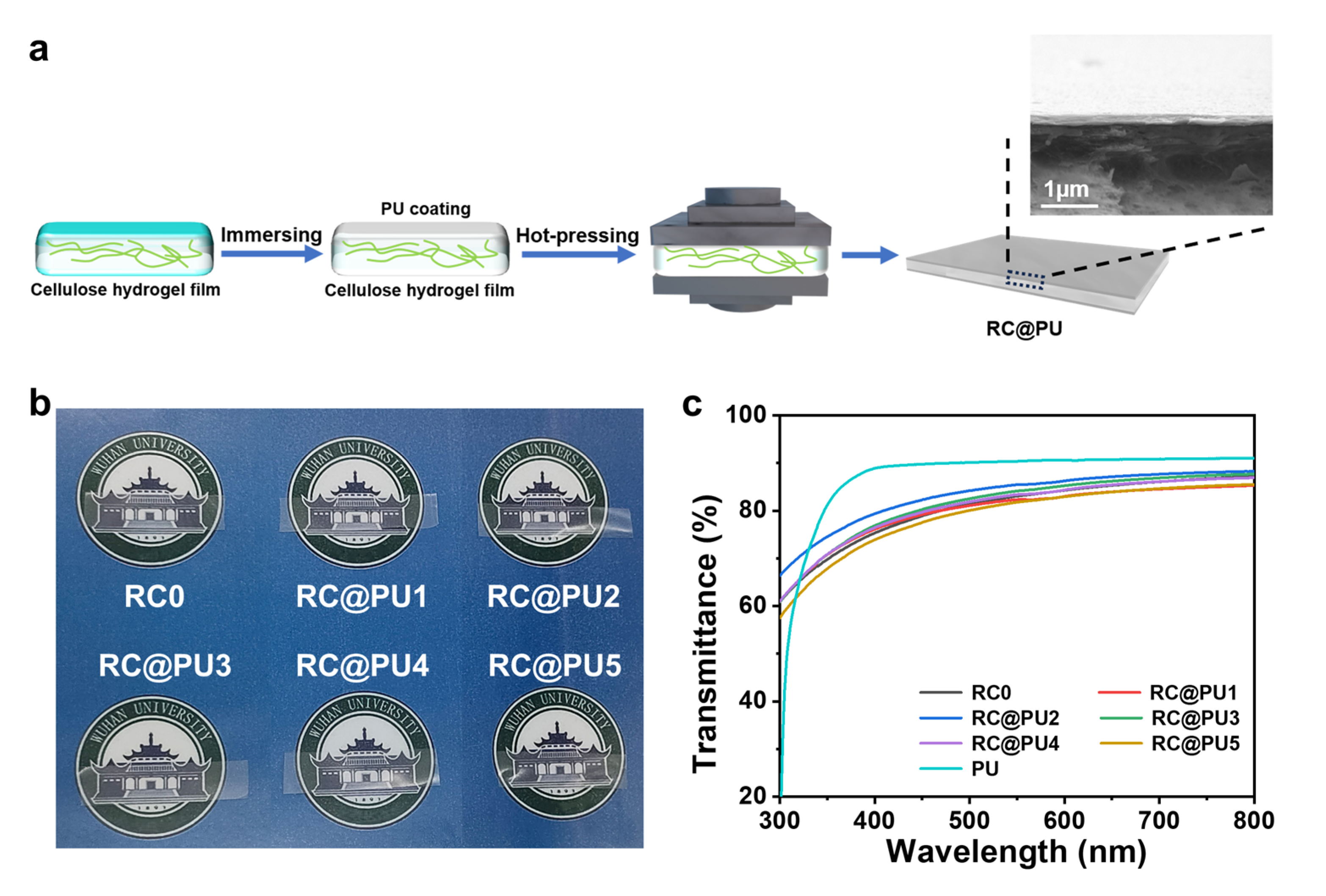 Polymers 17 00890 g001