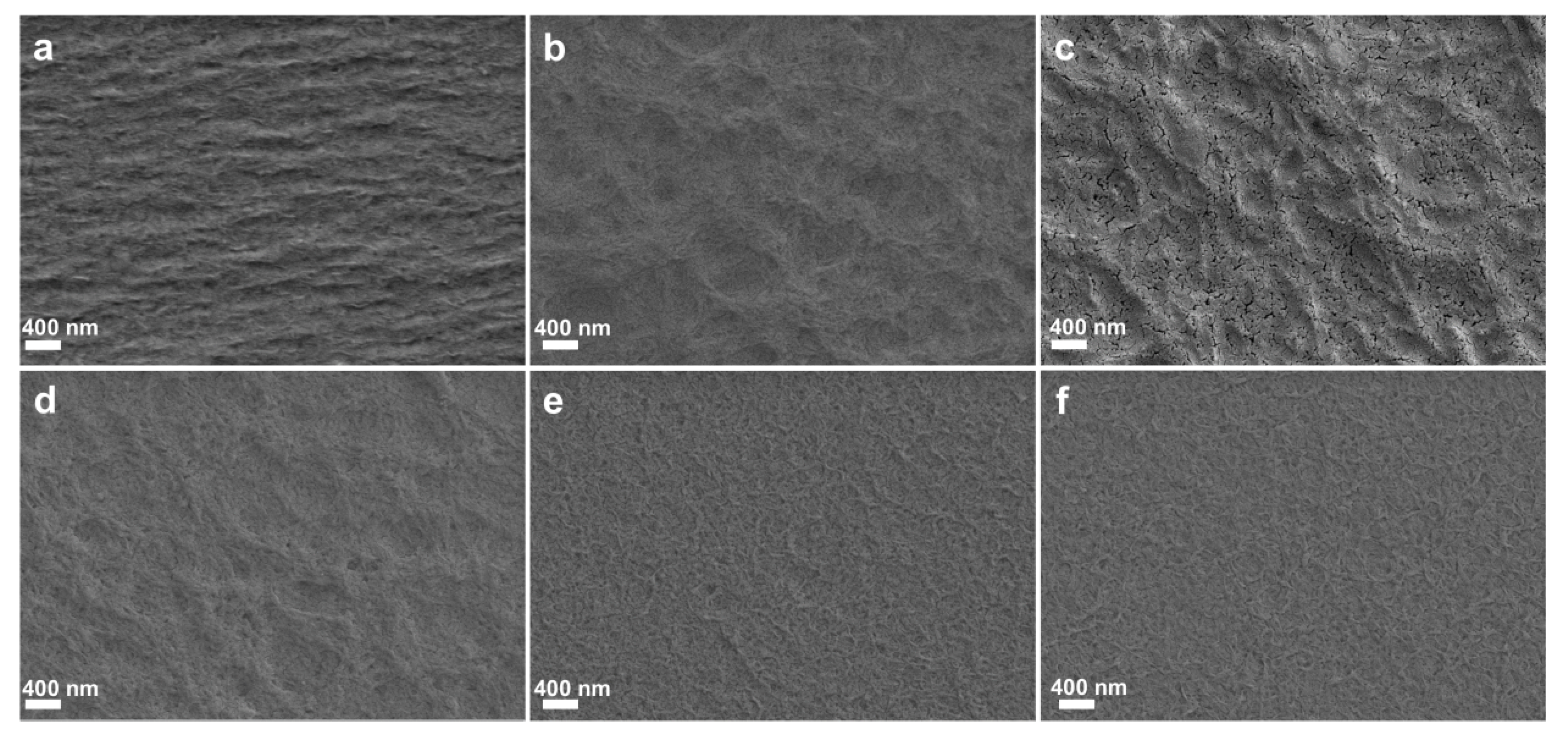 Polymers 17 00890 g004