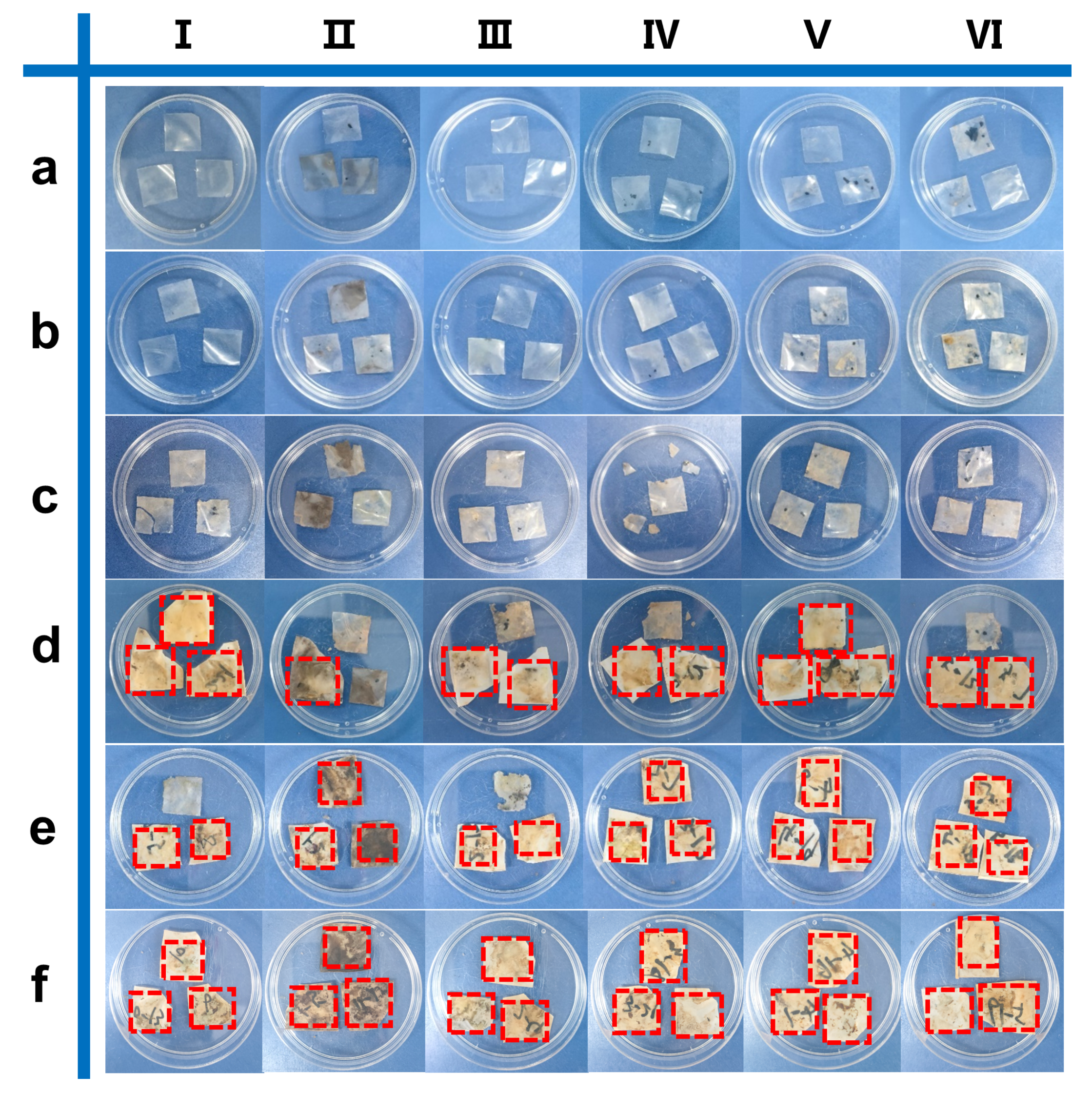 Polymers 17 00890 g007