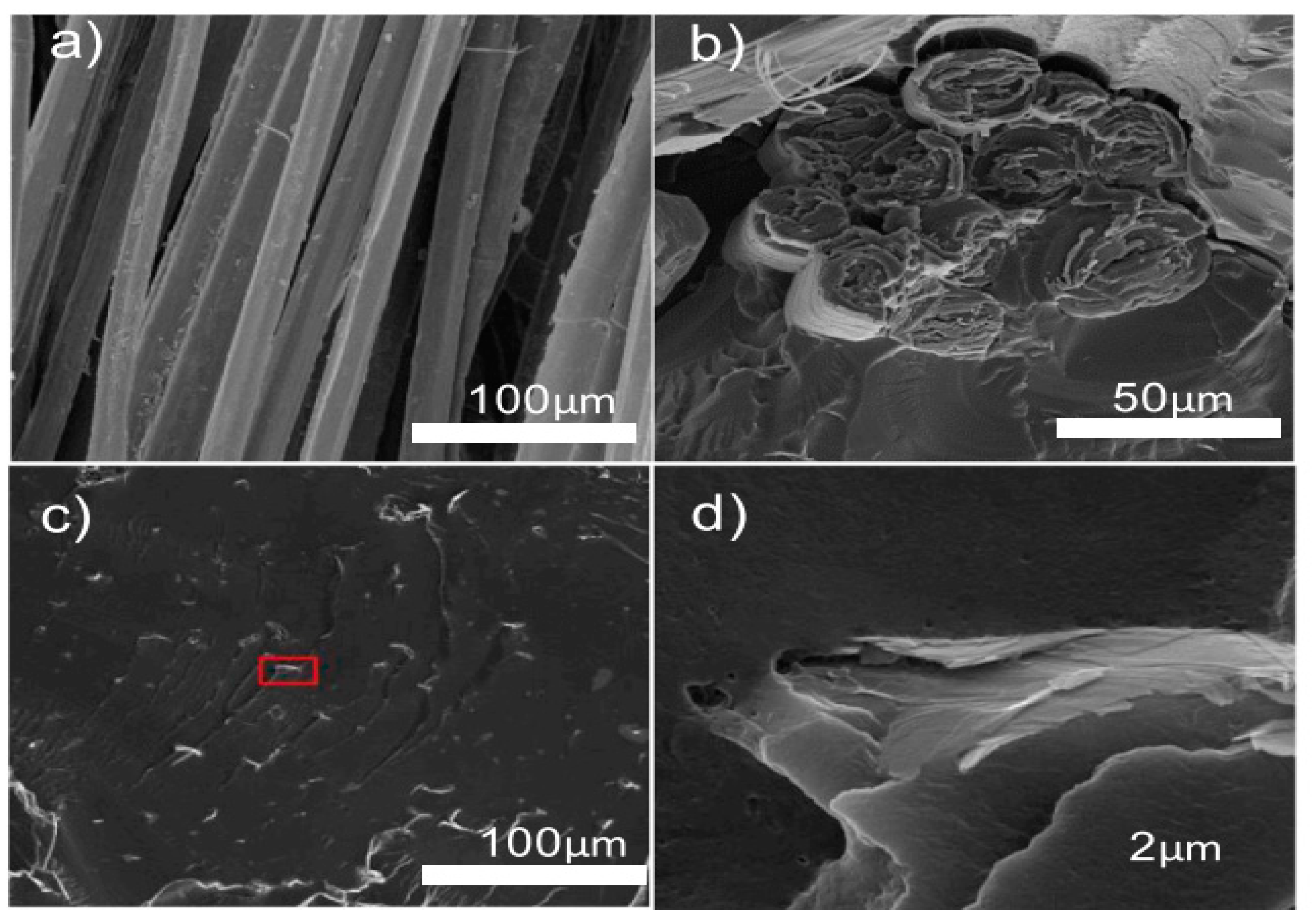 Polymers 17 00893 g004