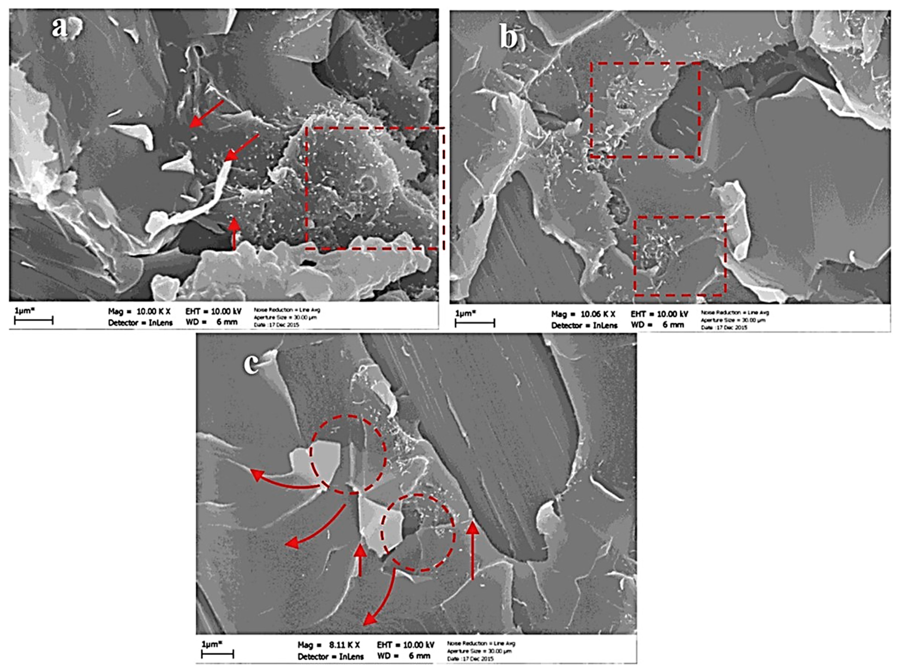 Polymers 17 00893 g006