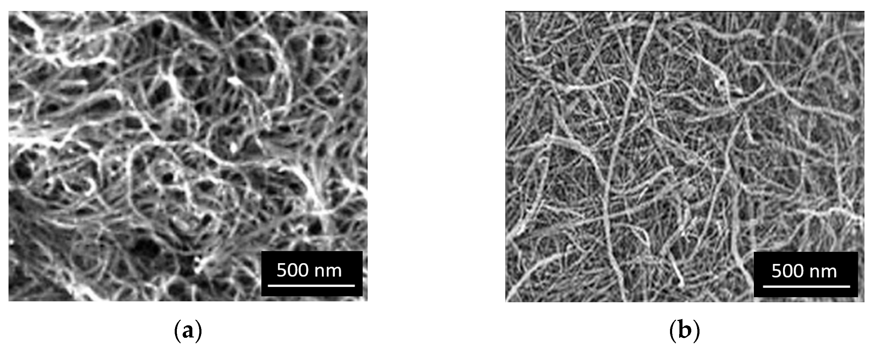 Polymers 17 00896 g003