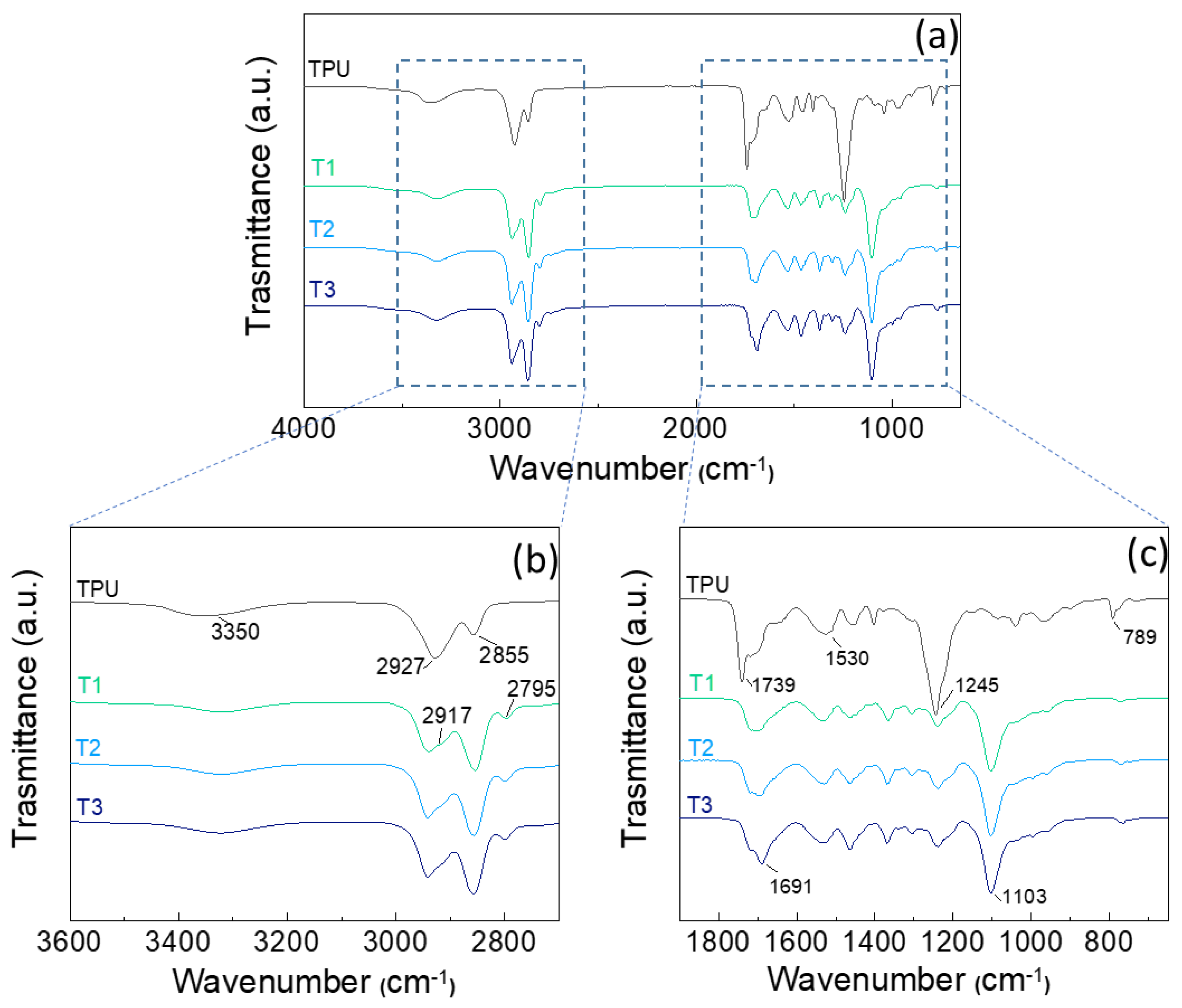Polymers 17 00904 g001