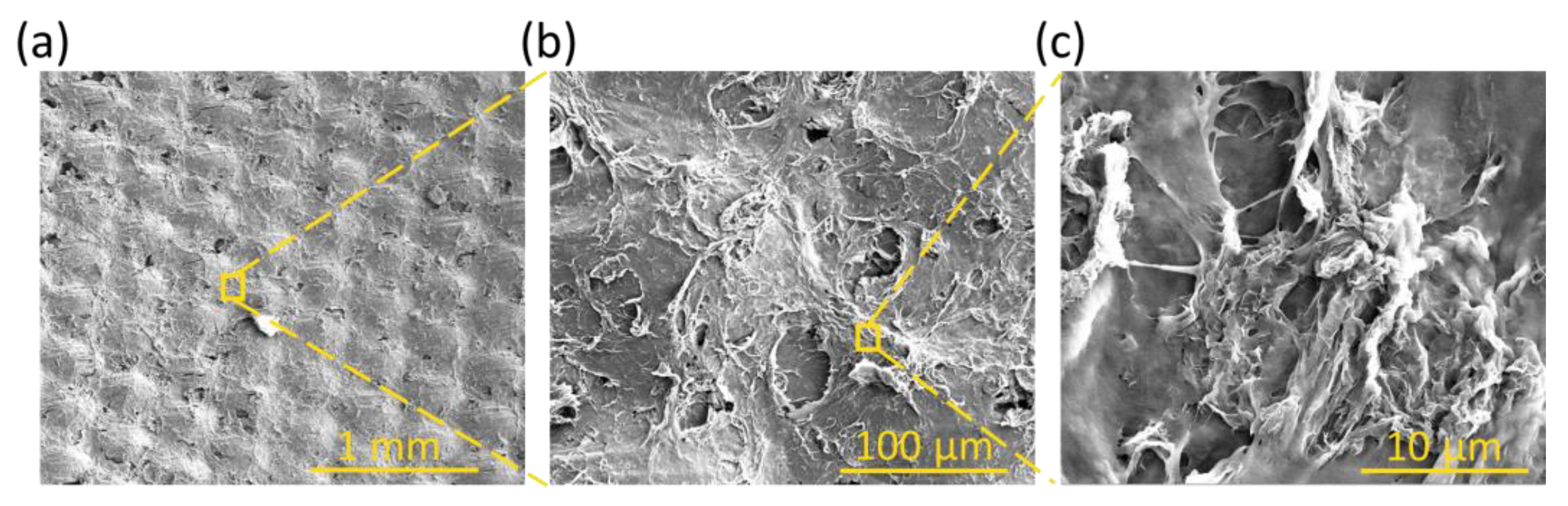 Polymers 17 00904 g002