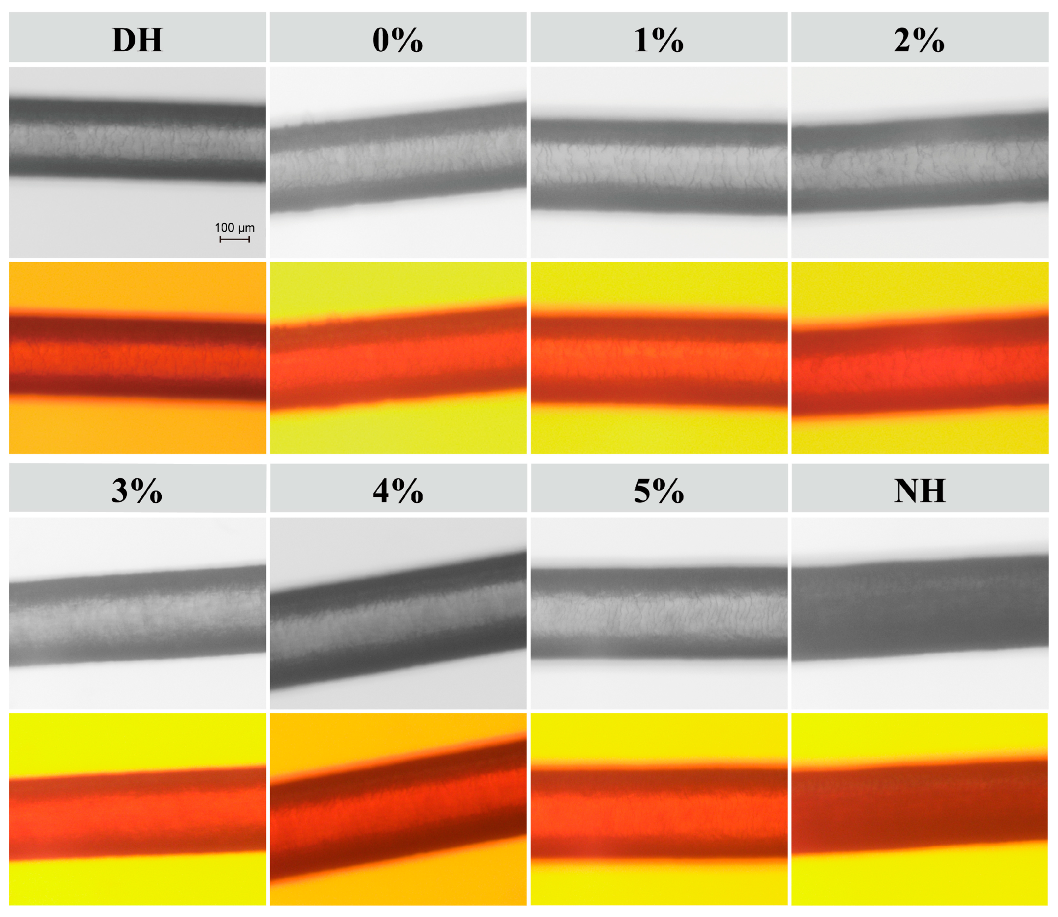 Polymers 17 00907 g003