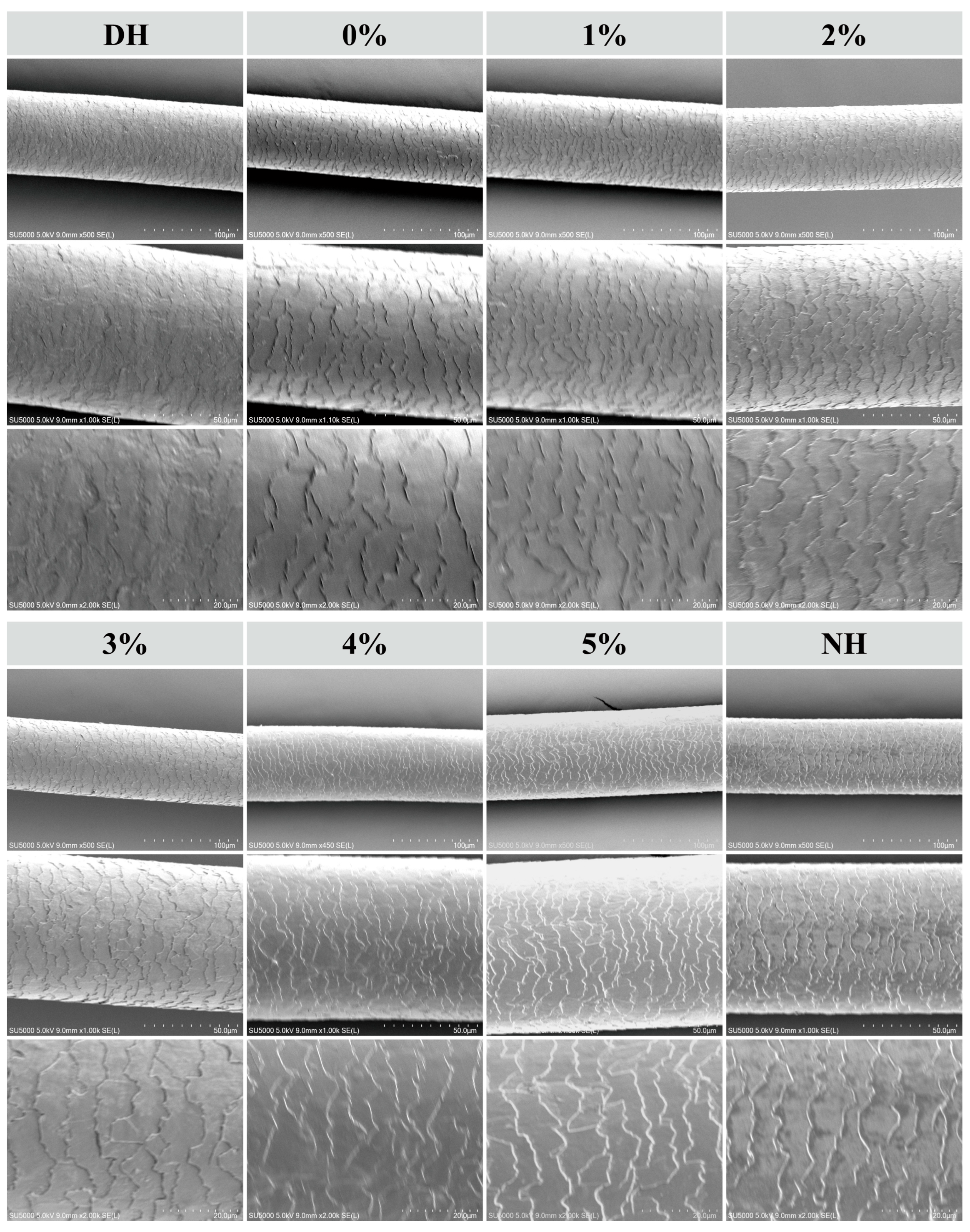 Polymers 17 00907 g004