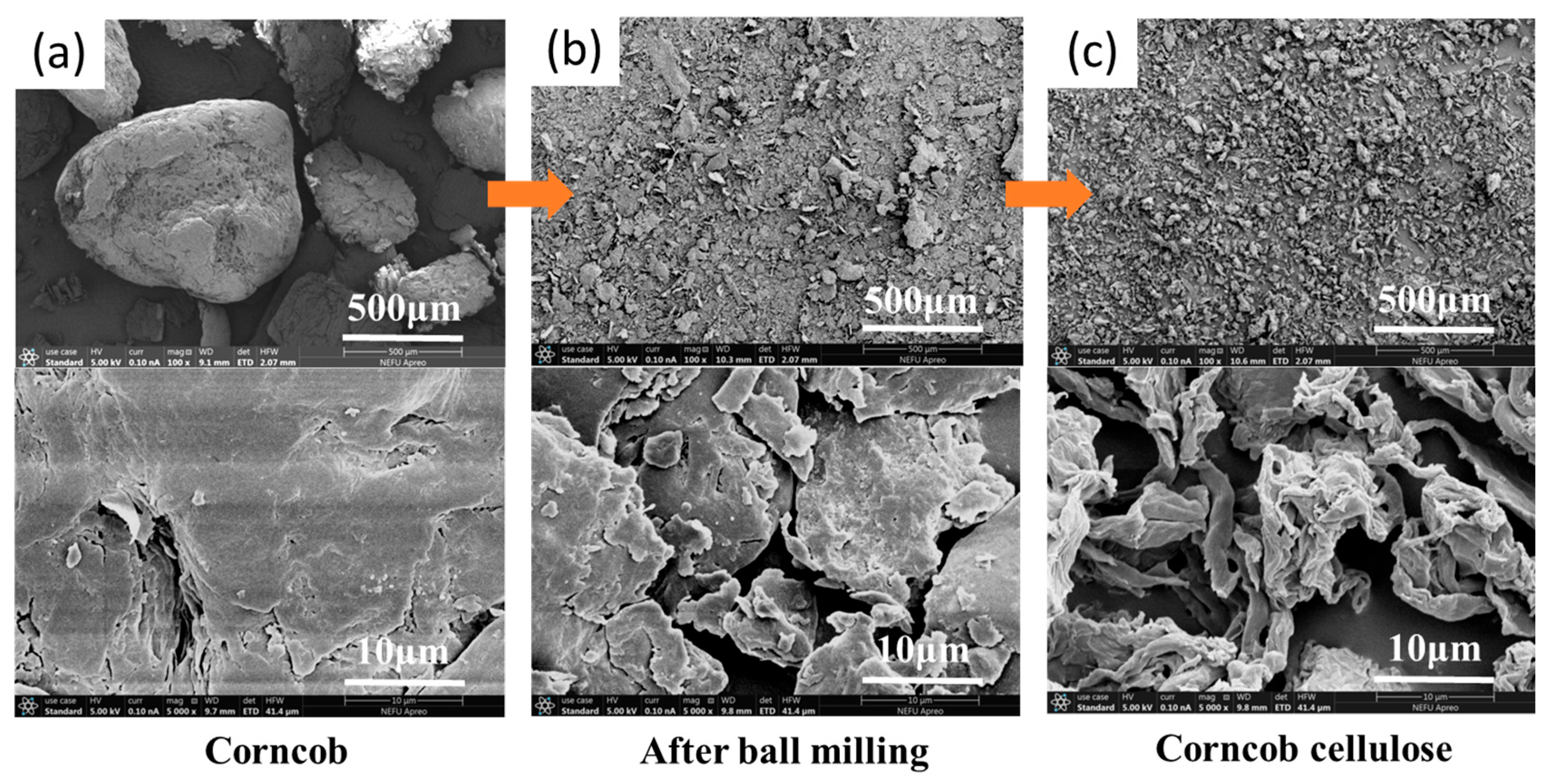 Polymers 17 00921 g005