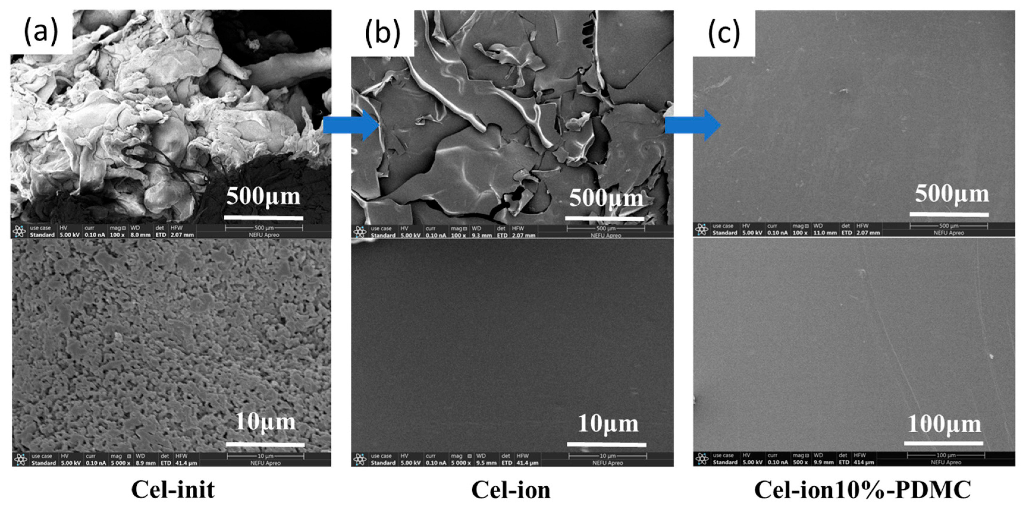 Polymers 17 00921 g006