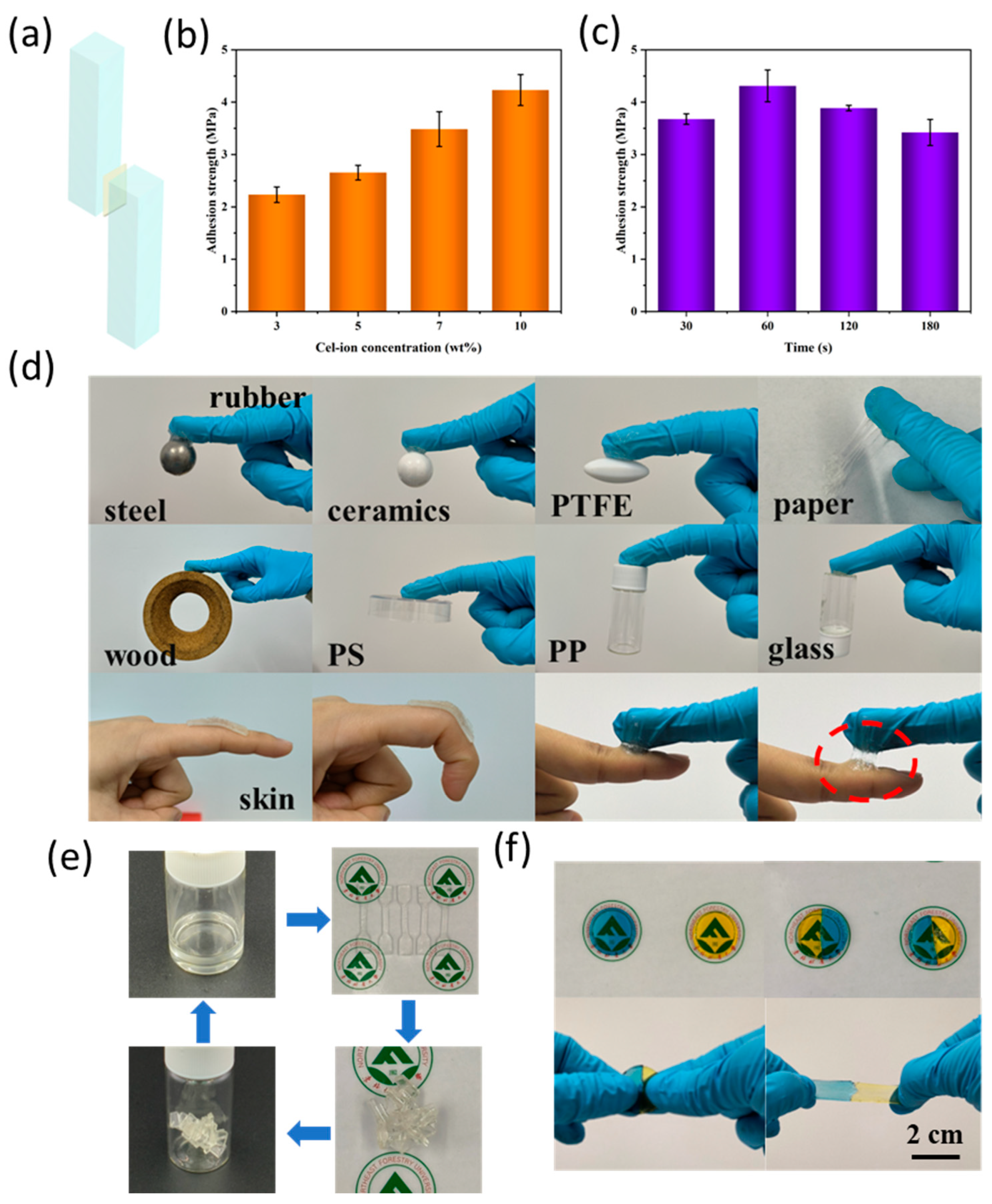 Polymers 17 00921 g008