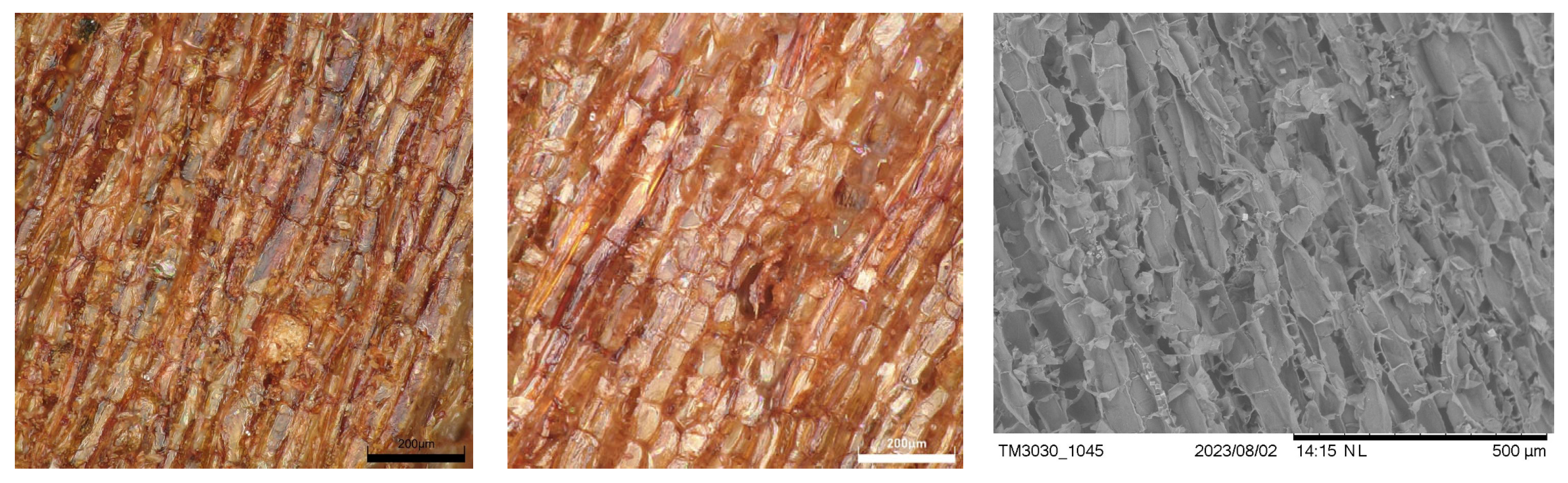 Polymers 17 00925 g003