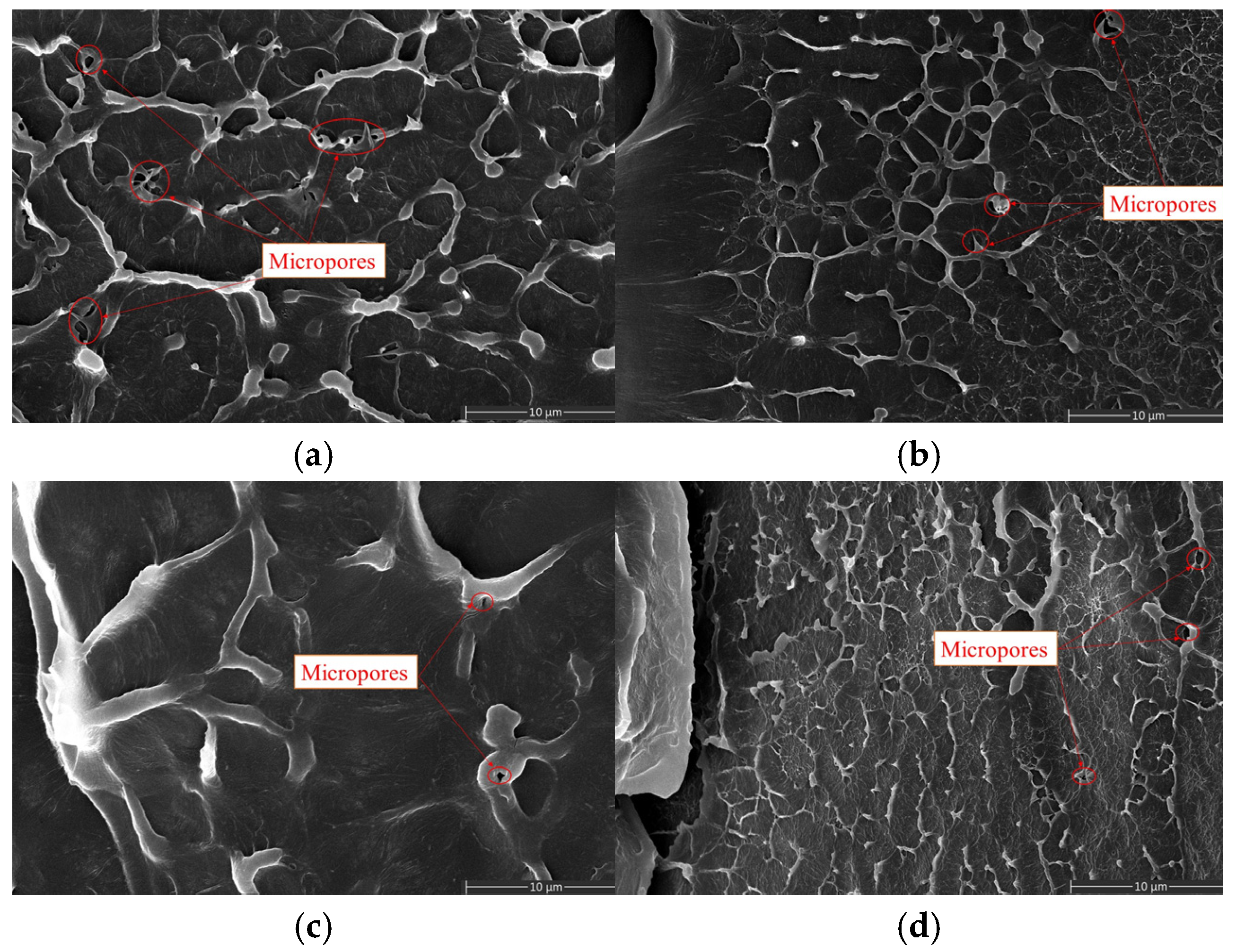 Polymers 17 00936 g010