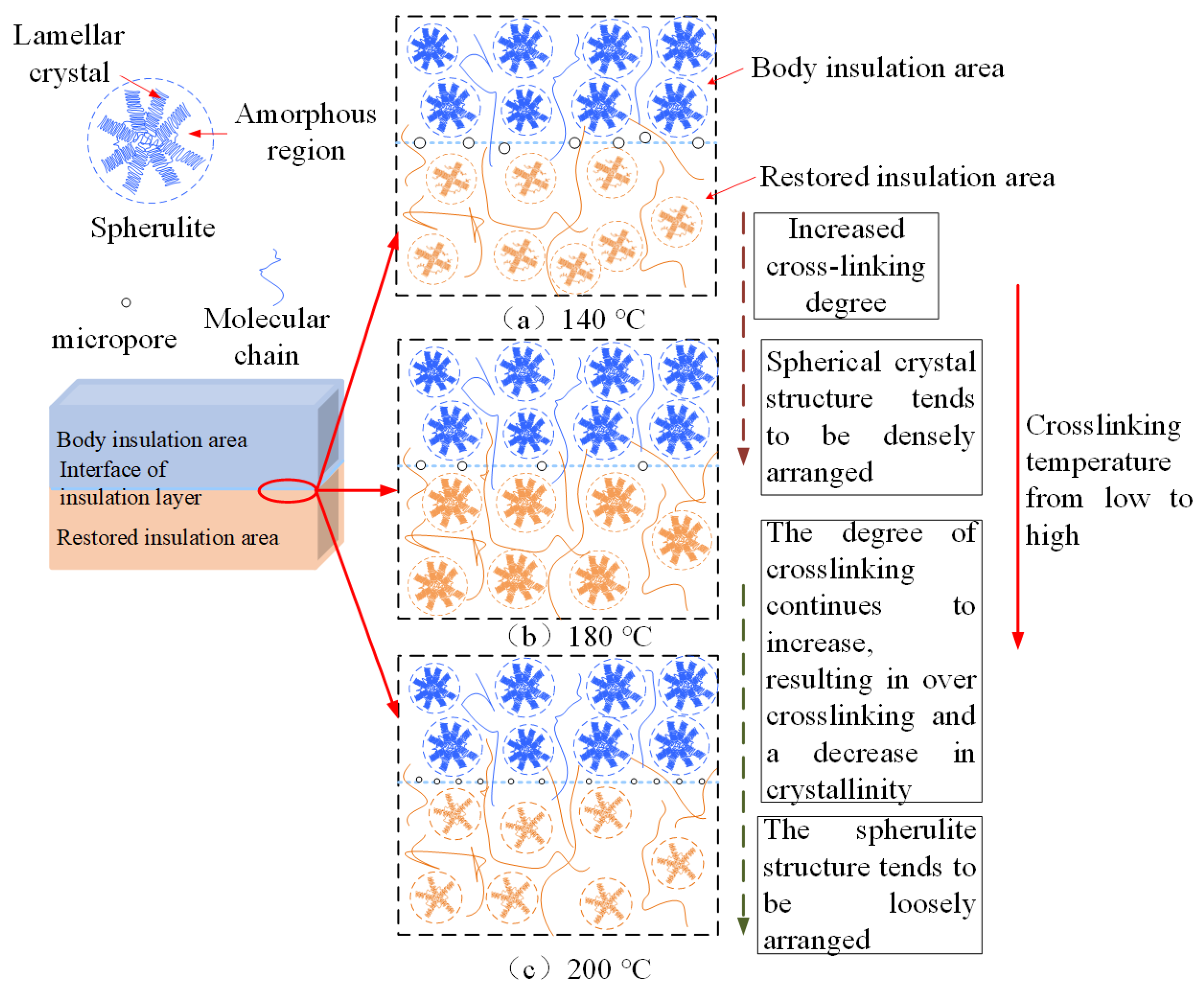 Polymers 17 00936 g012