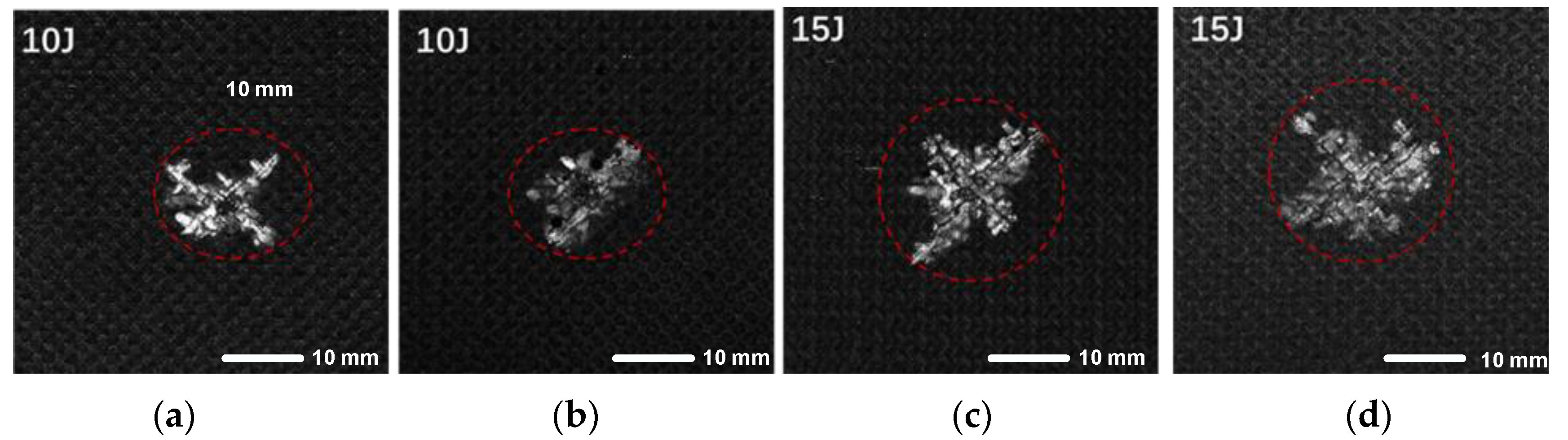 Polymers 17 00942 g008