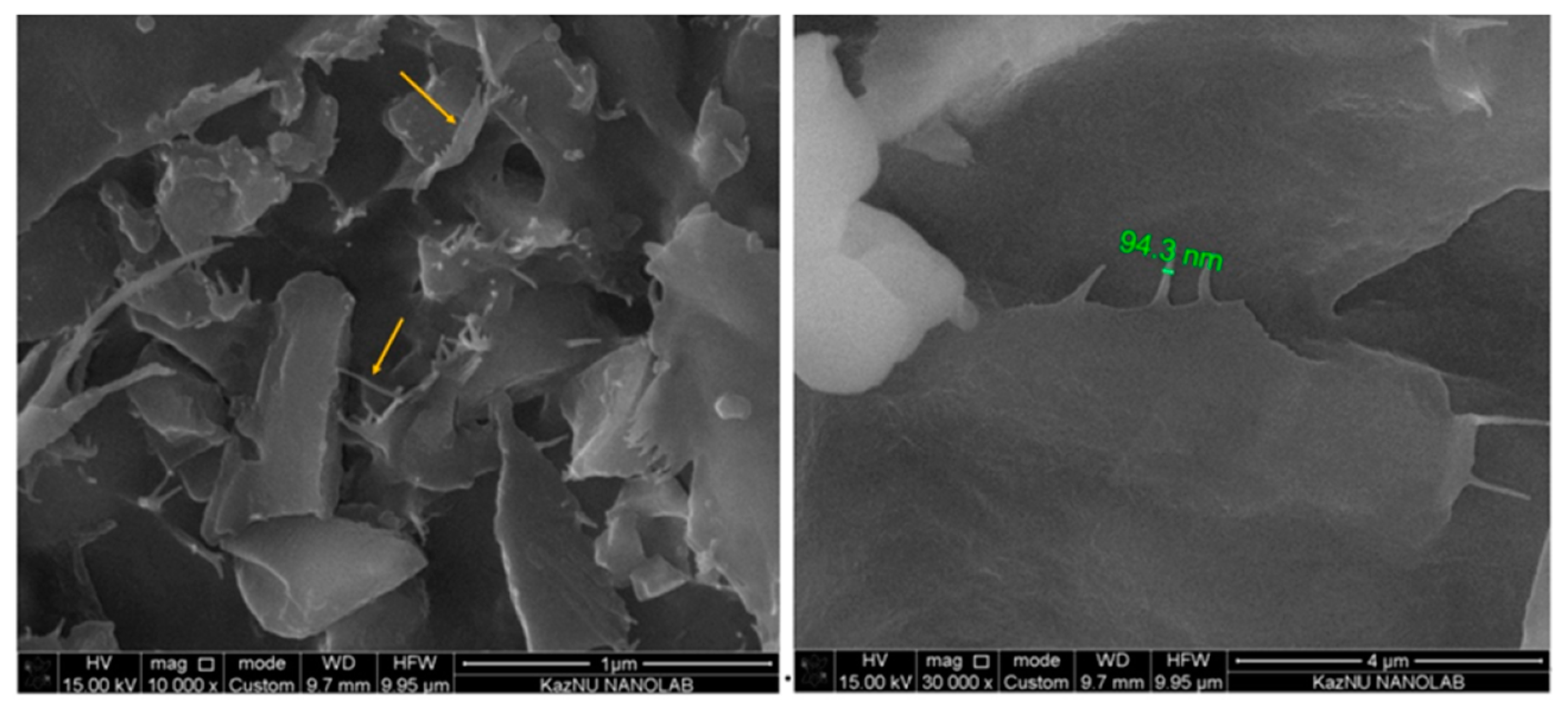Polymers 17 00949 g003