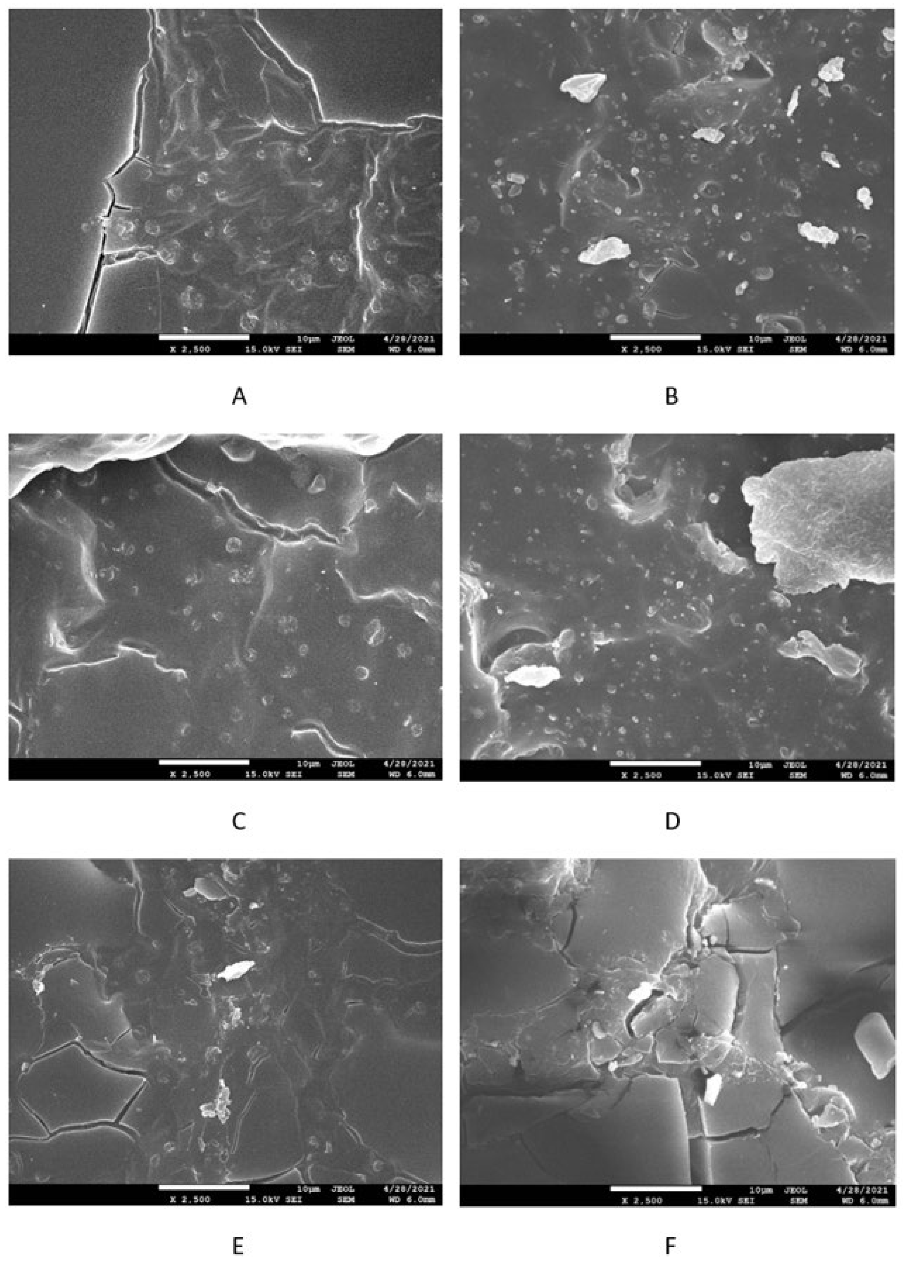 Polymers 17 00950 g012
