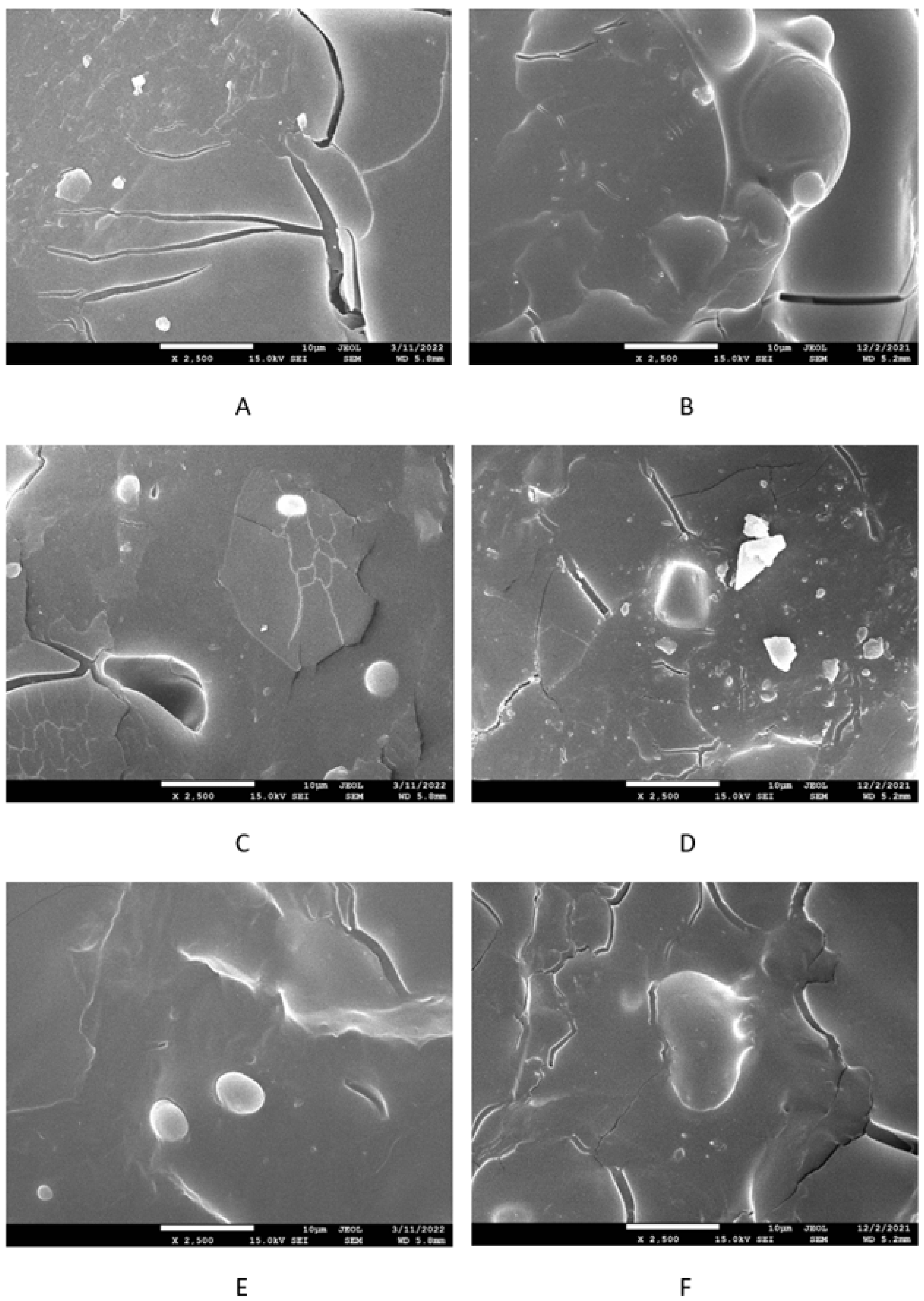Polymers 17 00950 g013