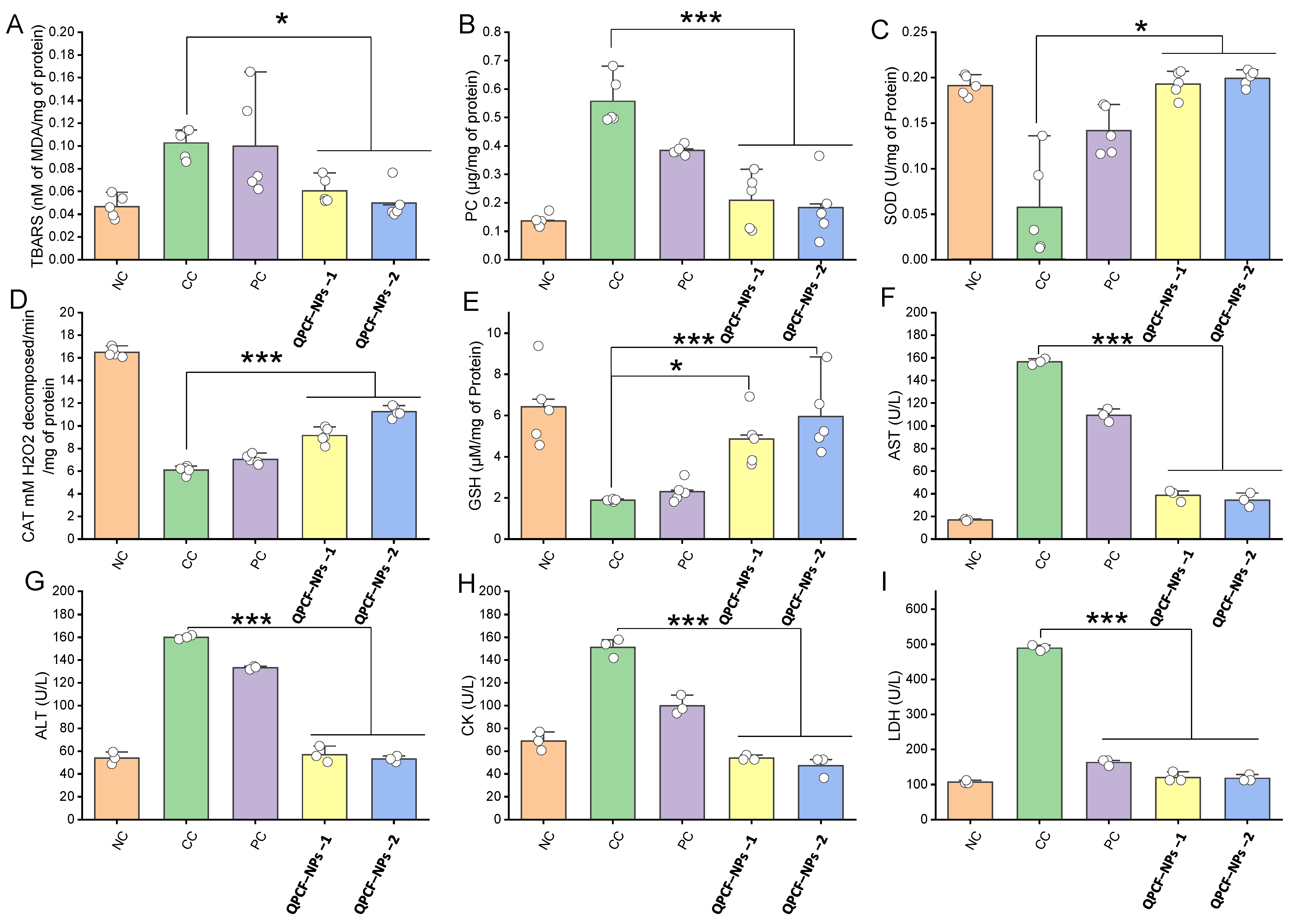 Polymers 17 00955 g006