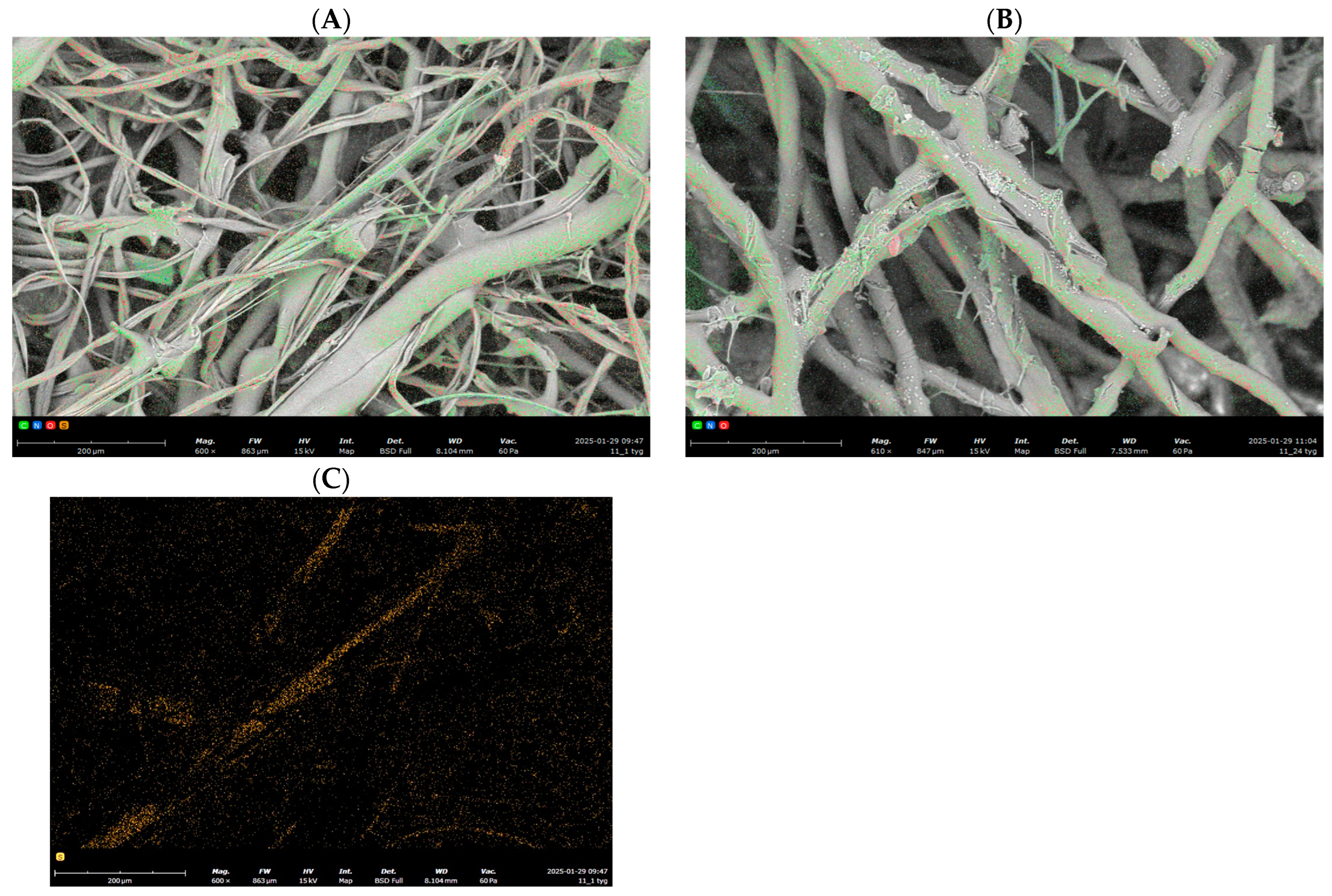 Polymers 17 00957 g004 Polymers 17 00957 g004
