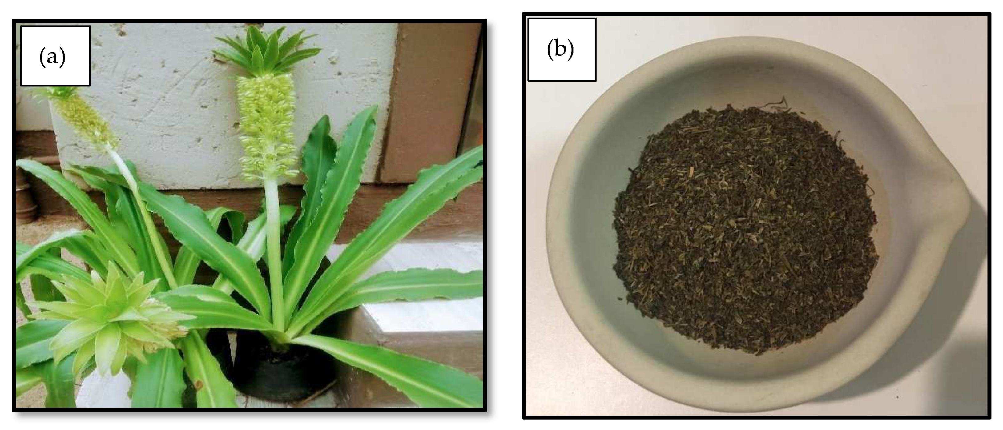 Polymers 17 00971 g001