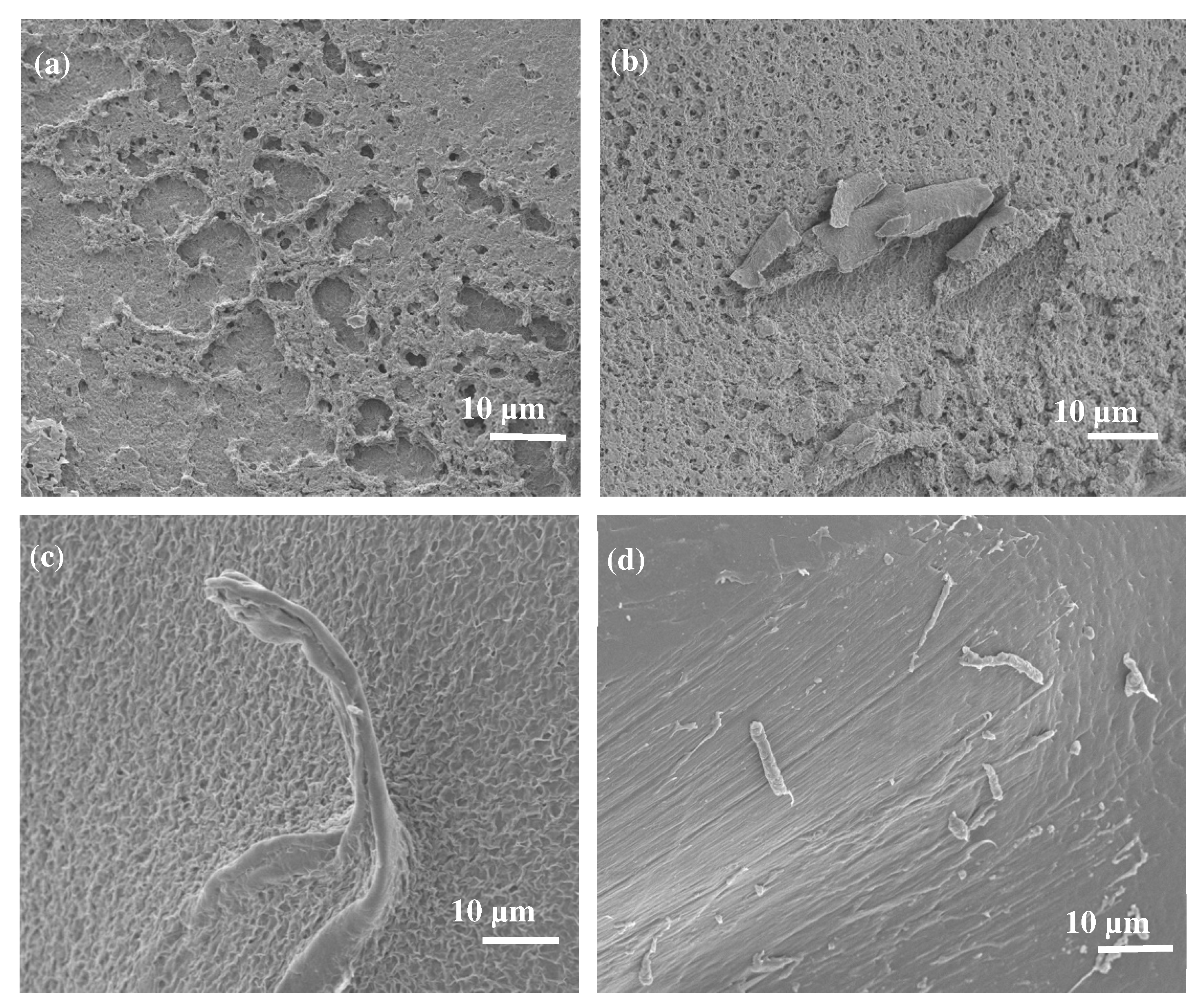 Polymers 17 00971 g007