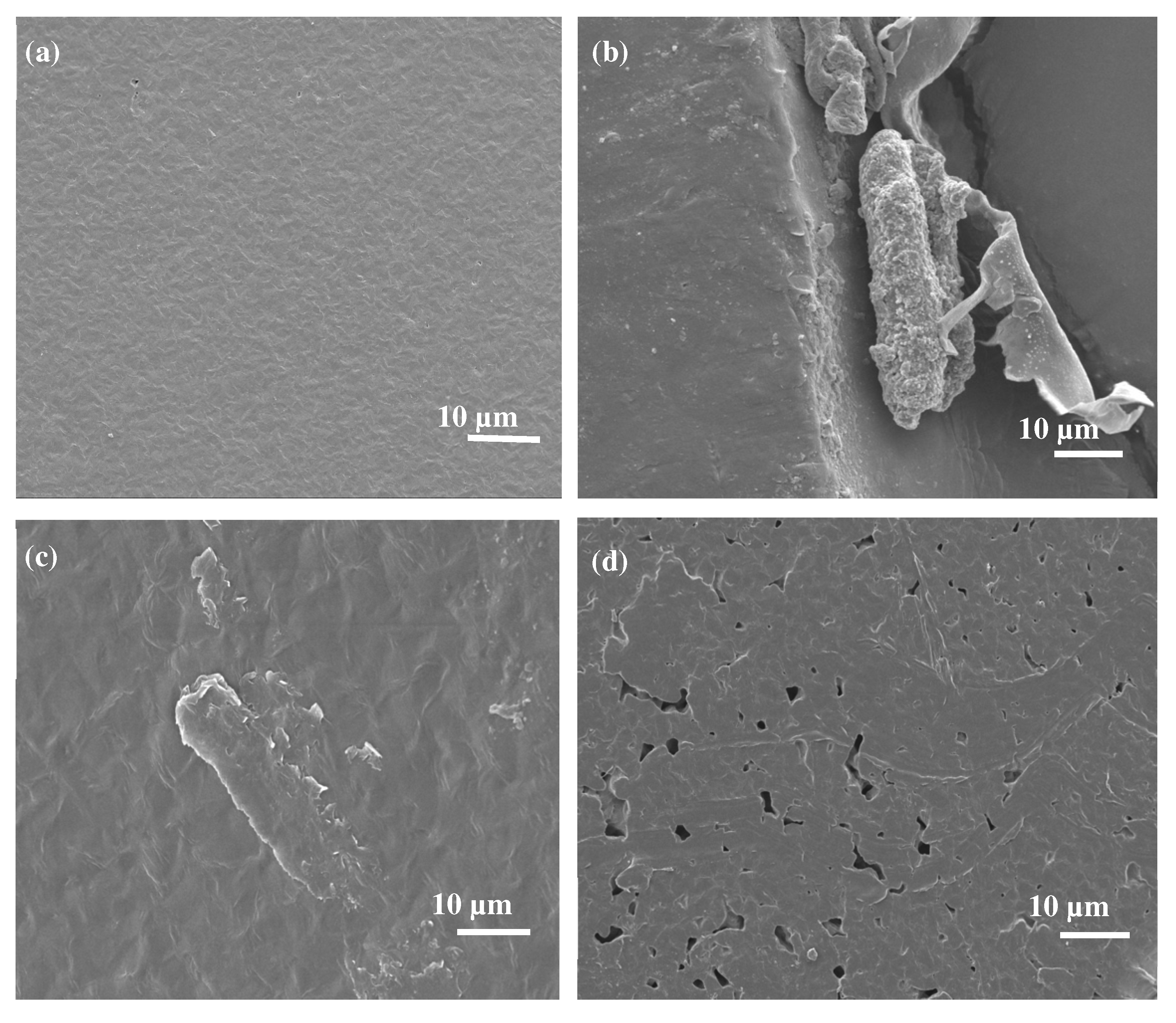 Polymers 17 00971 g008