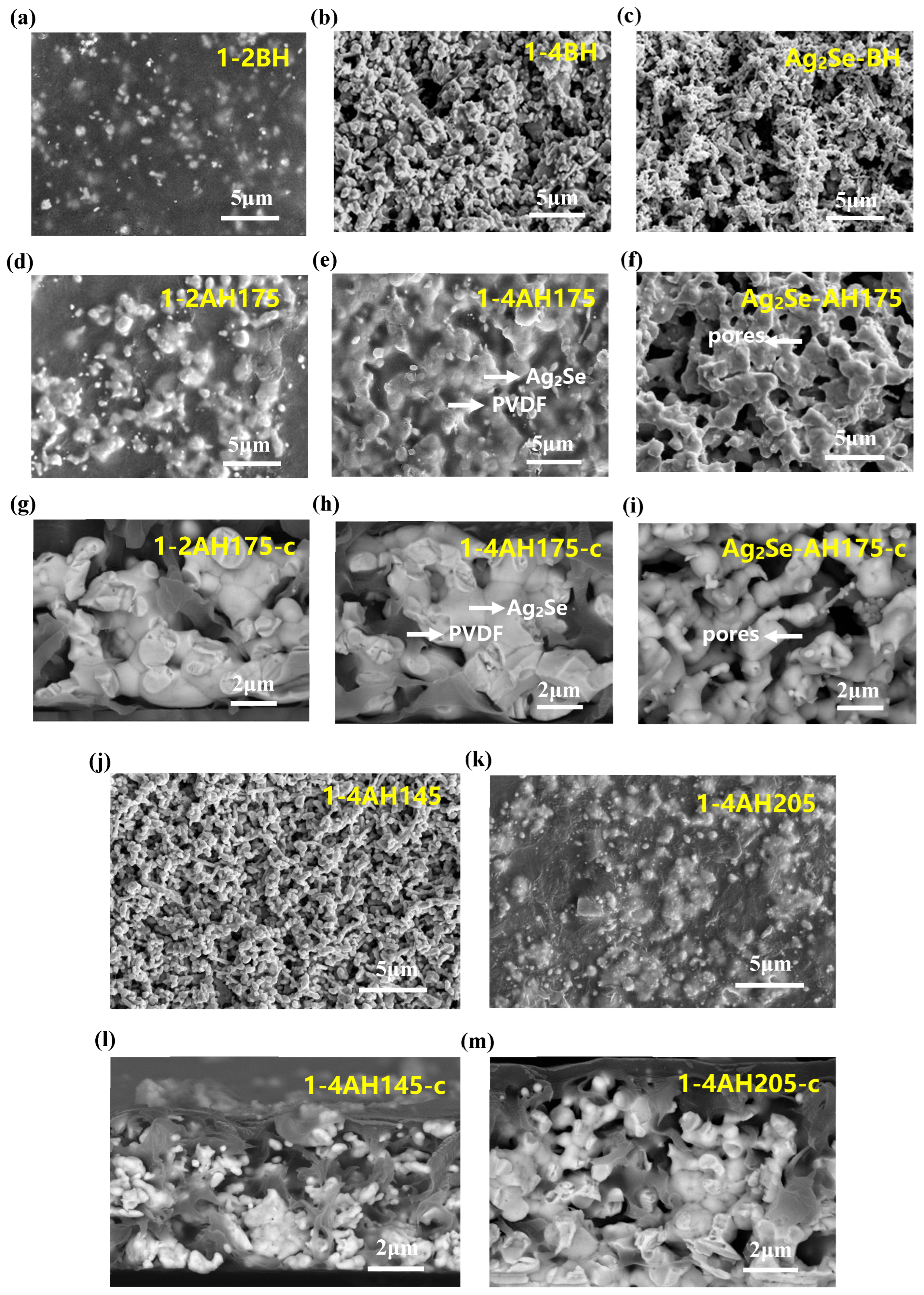 Polymers 17 00972 g005