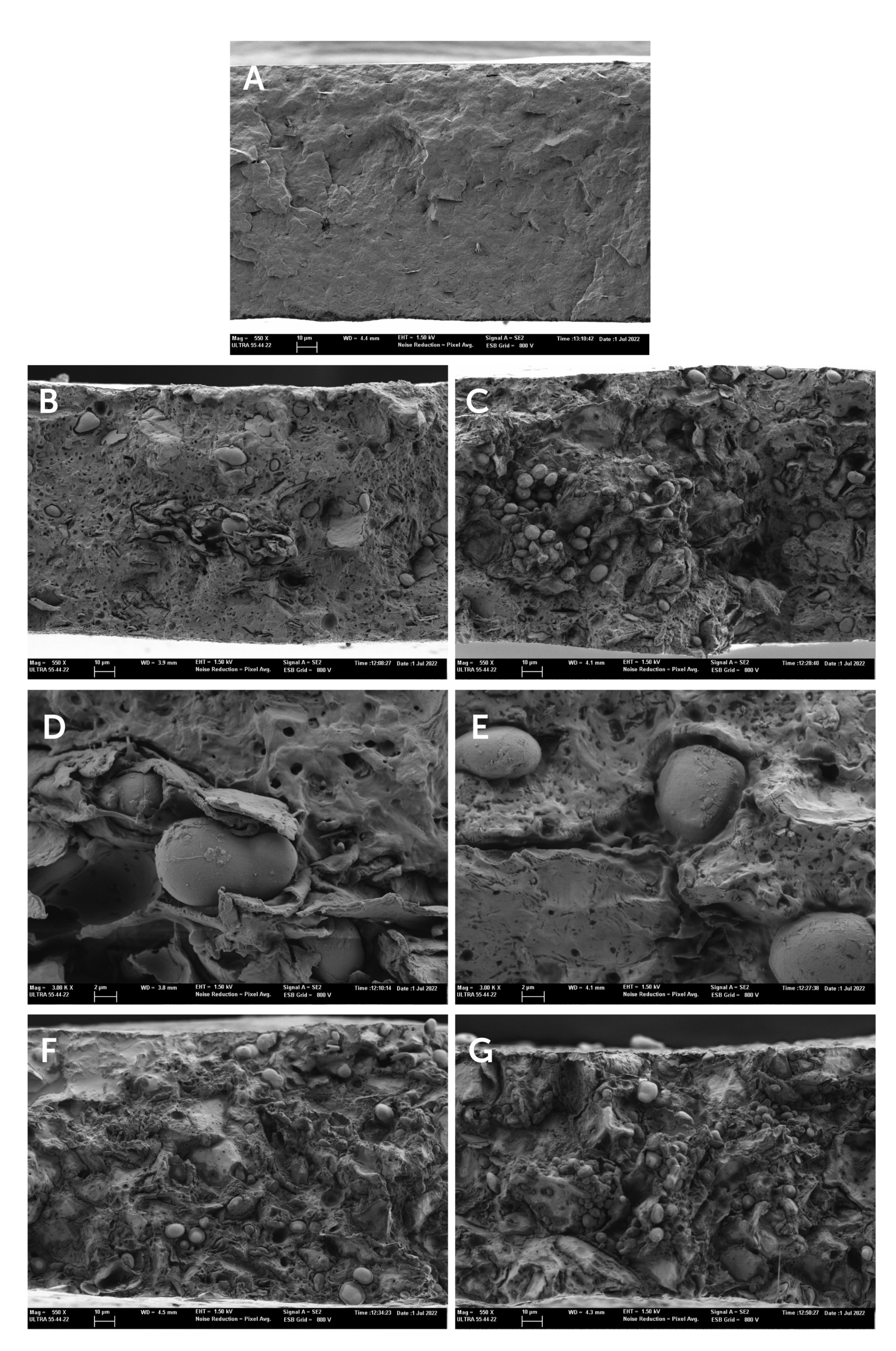 Polymers 17 00974 g003