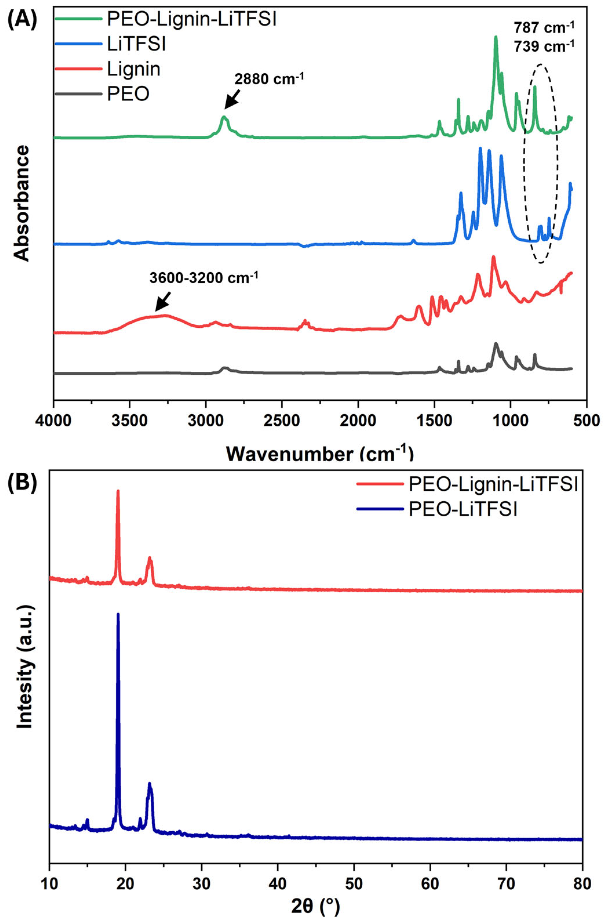 Polymers 17 00982 g004