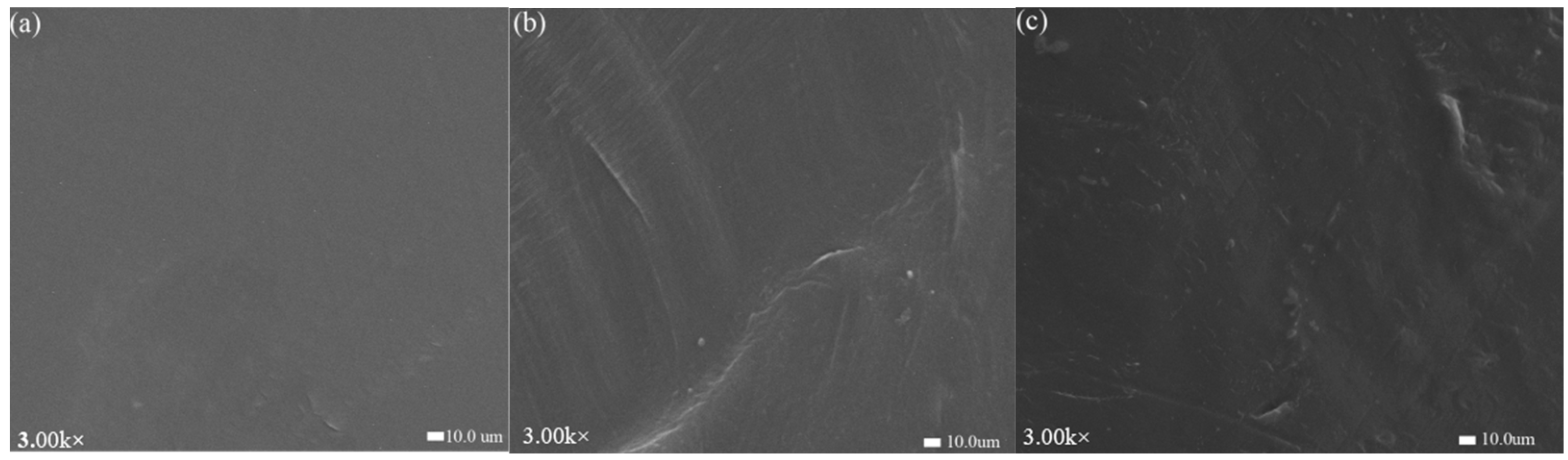 Polymers 17 00983 g005