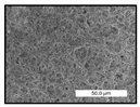 Polymers 17 00984 i001 Polymers 17 00984 i001