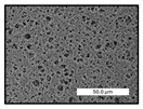 Polymers 17 00984 i006 Polymers 17 00984 i006