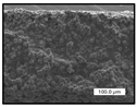 Polymers 17 00984 i007 Polymers 17 00984 i007