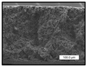 Polymers 17 00984 i008 Polymers 17 00984 i008