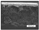 Polymers 17 00984 i009 Polymers 17 00984 i009