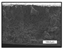 Polymers 17 00984 i010 Polymers 17 00984 i010