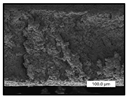 Polymers 17 00984 i011 Polymers 17 00984 i011