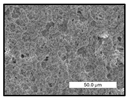 Polymers 17 00984 i016 Polymers 17 00984 i016