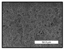 Polymers 17 00984 i017 Polymers 17 00984 i017