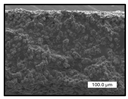 Polymers 17 00984 i018 Polymers 17 00984 i018