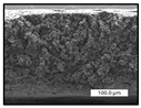 Polymers 17 00984 i019 Polymers 17 00984 i019